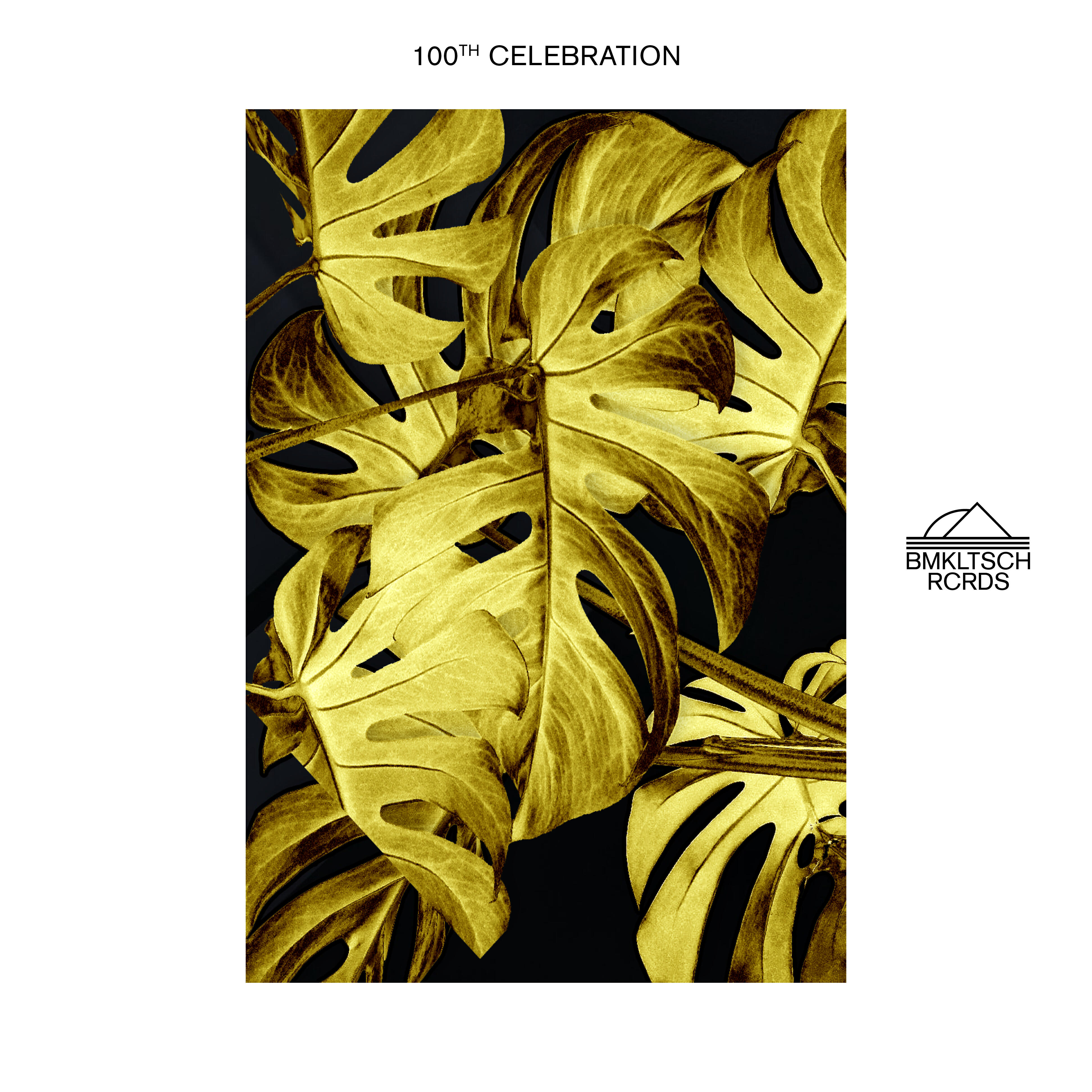 Постер альбома Bmkltsch 100th Celebration