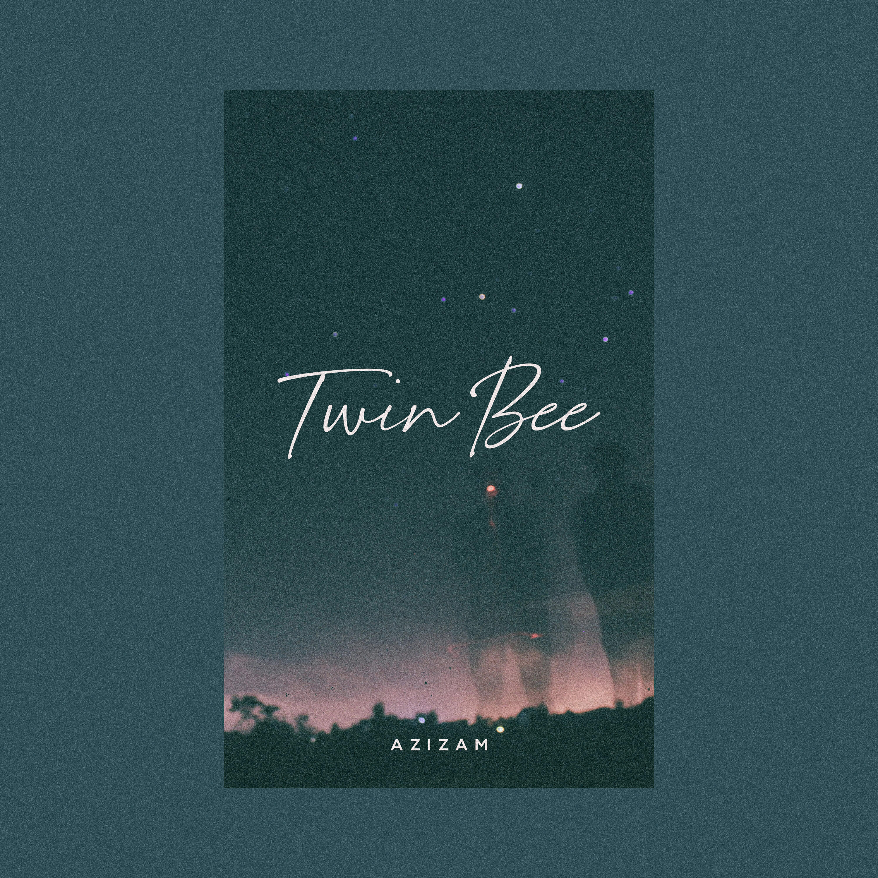 TWIN BEE