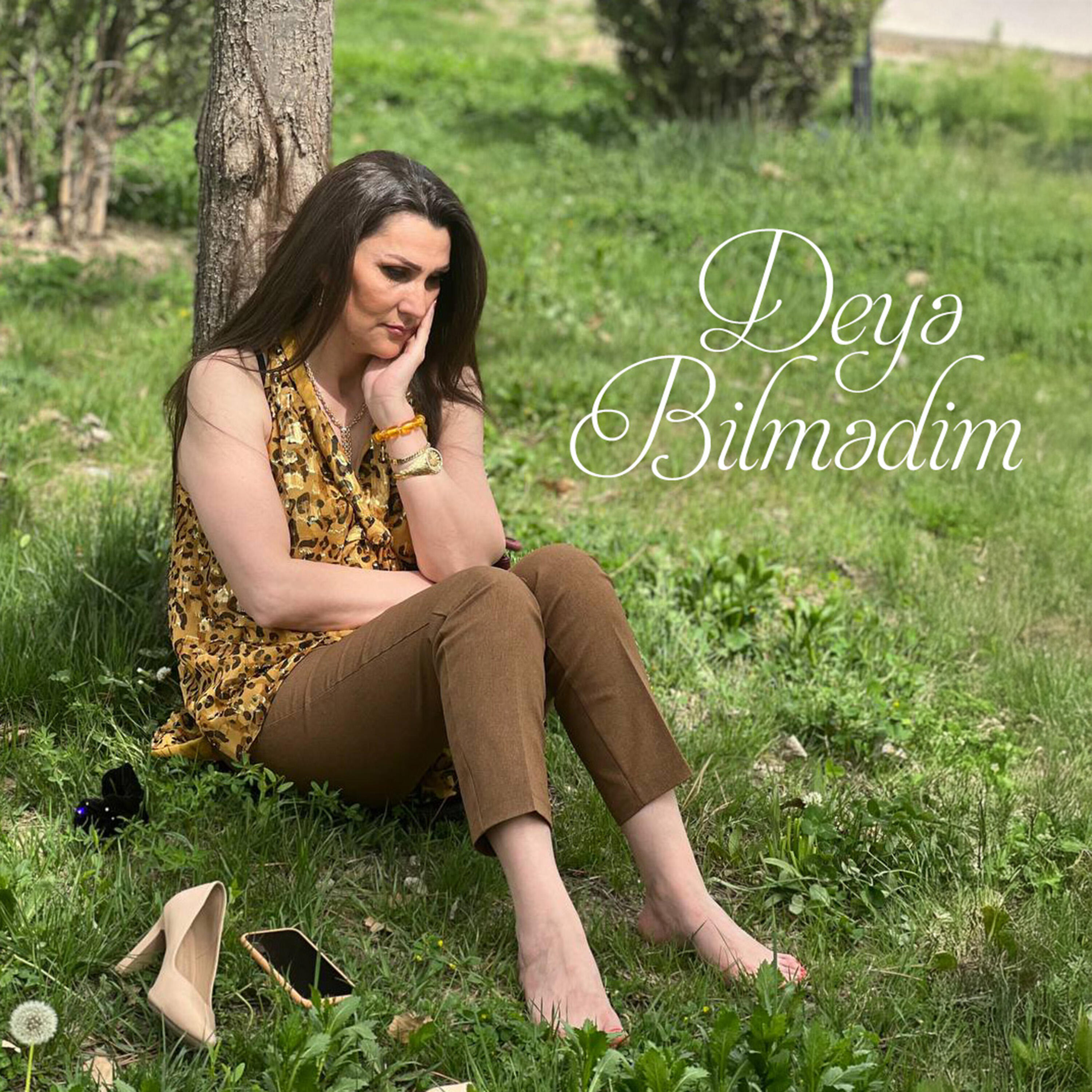 Релиз Deyə Bilmədim