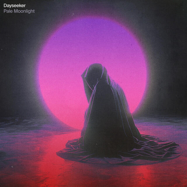 Постер альбома Pale Moonlight