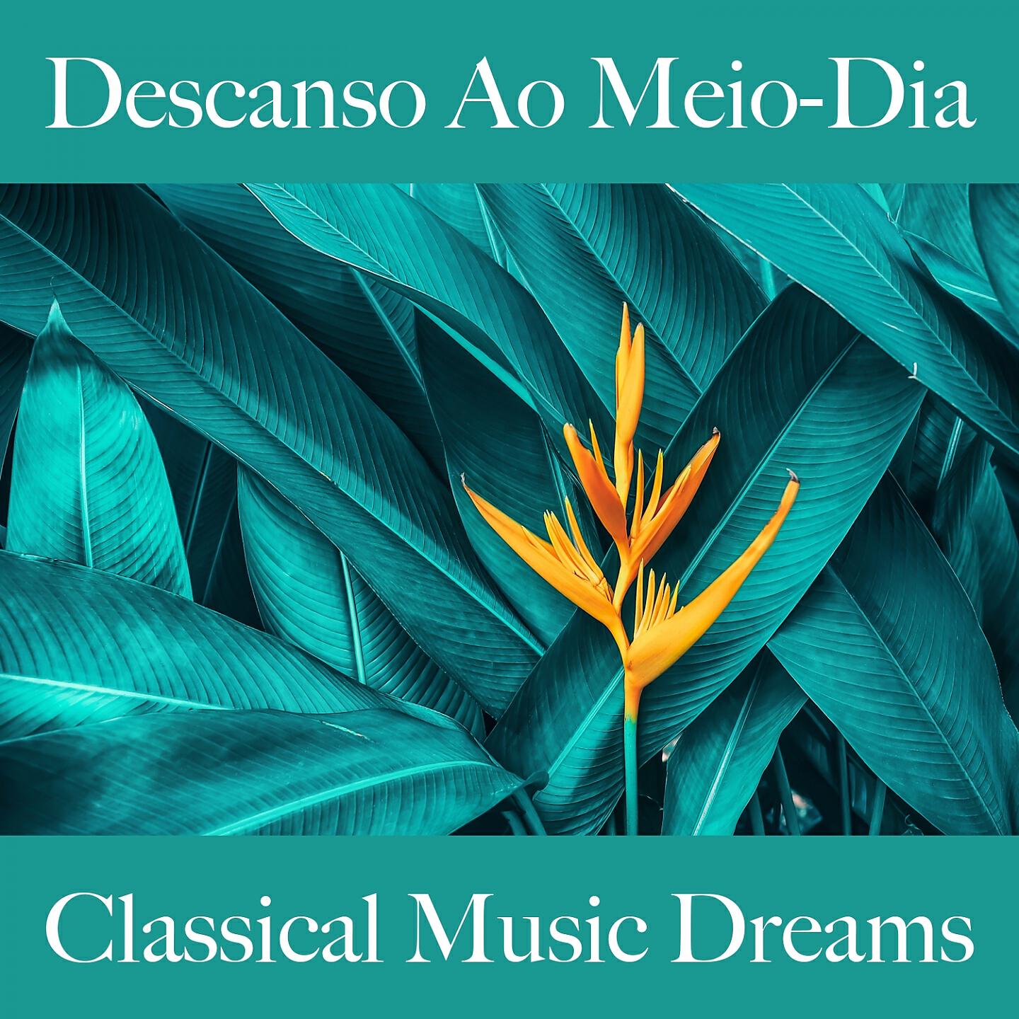 Релиз Descanso Ao Meio-Dia: Classical Music Dreams - A Melhor Música Para Relaxar