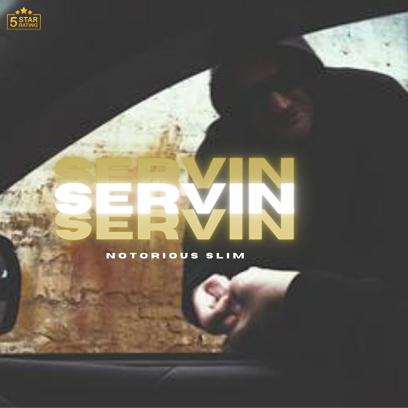 Релиз Servin