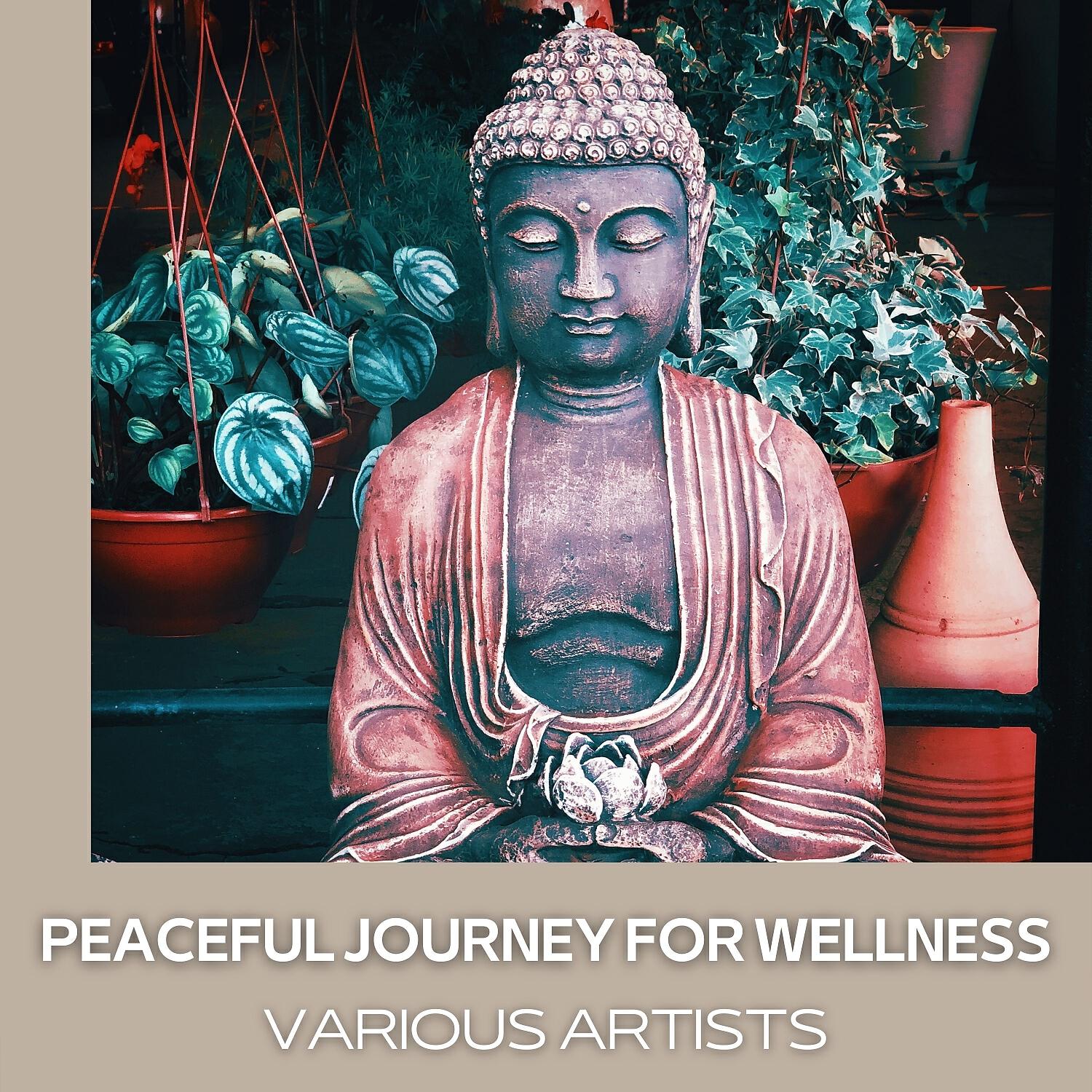 Релиз Peaceful Journey for Wellness