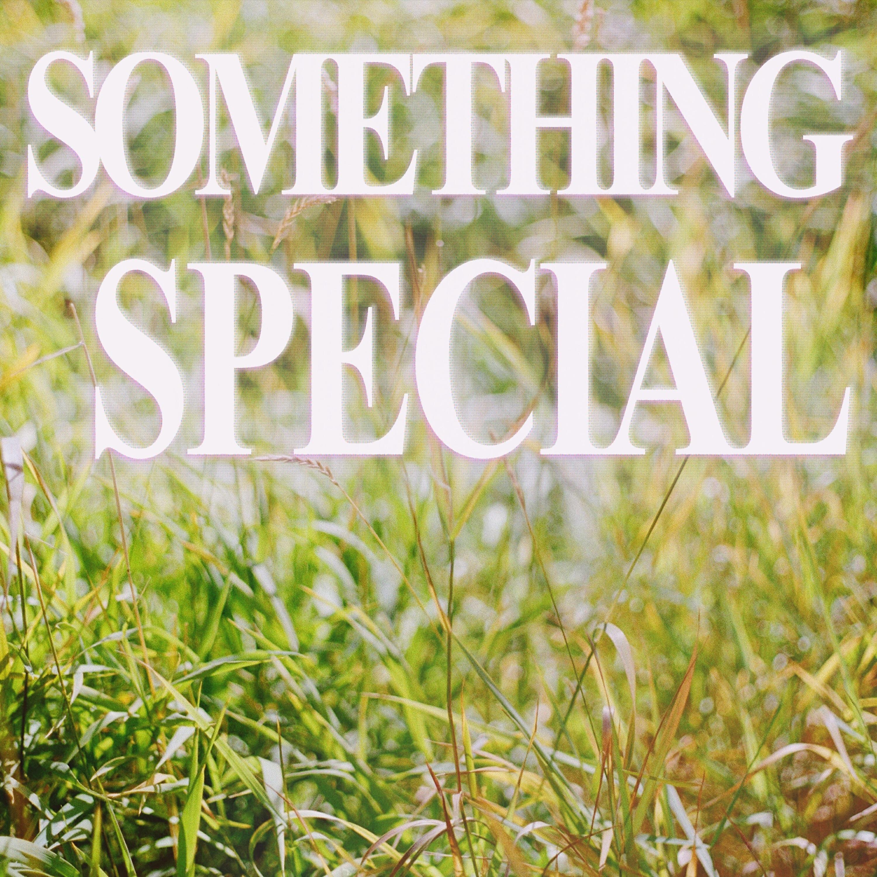 Релиз something special
