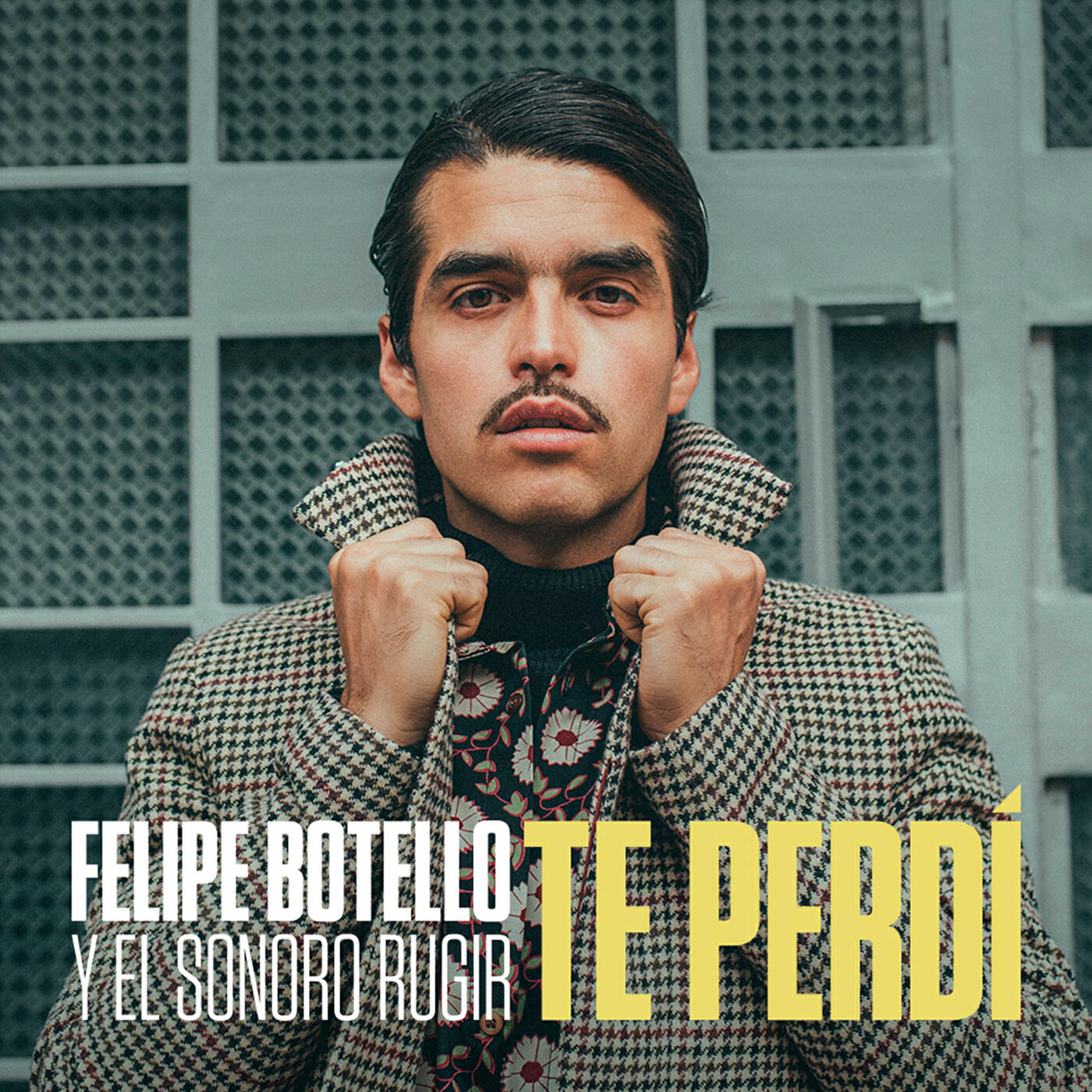 Релиз Te Perdí
