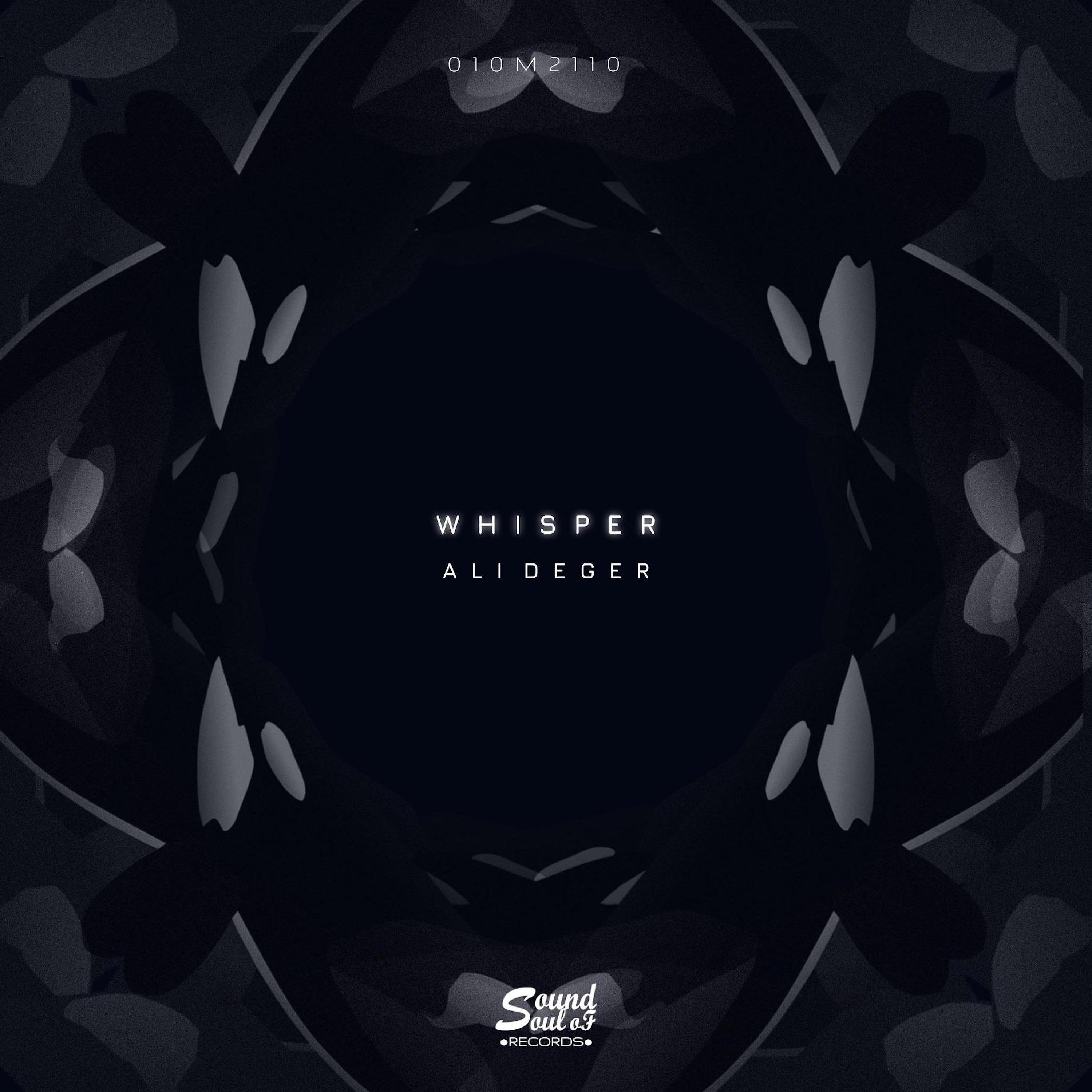 Релиз Whisper