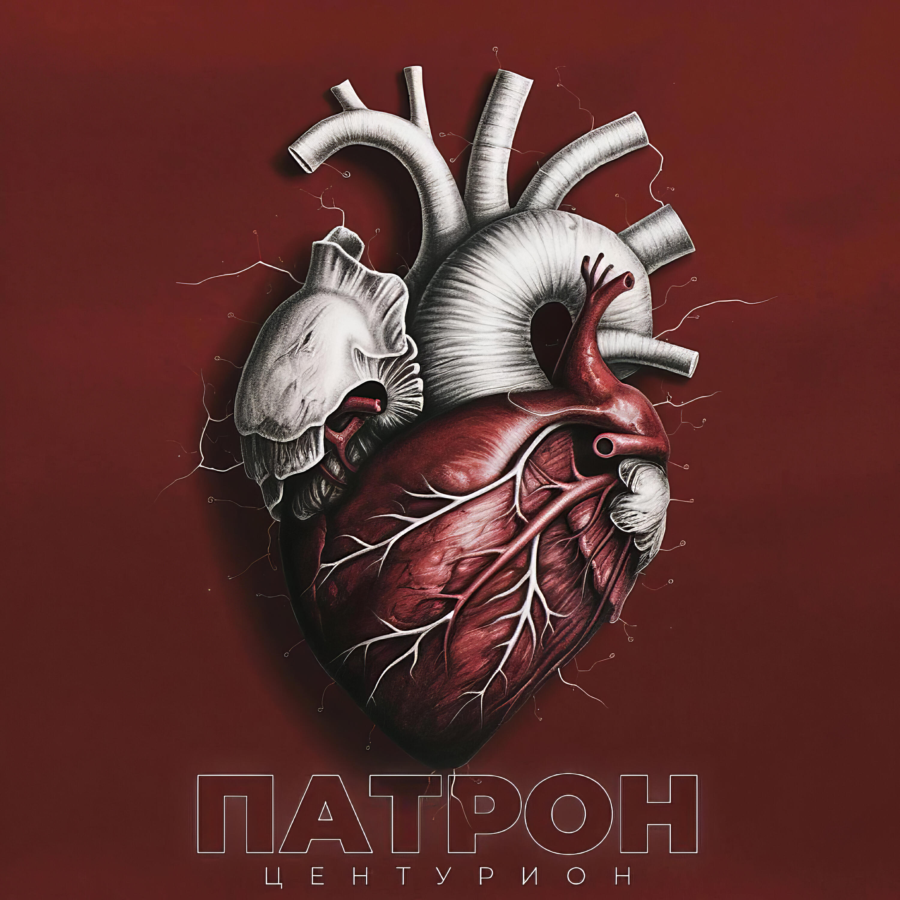 Релиз Патрон