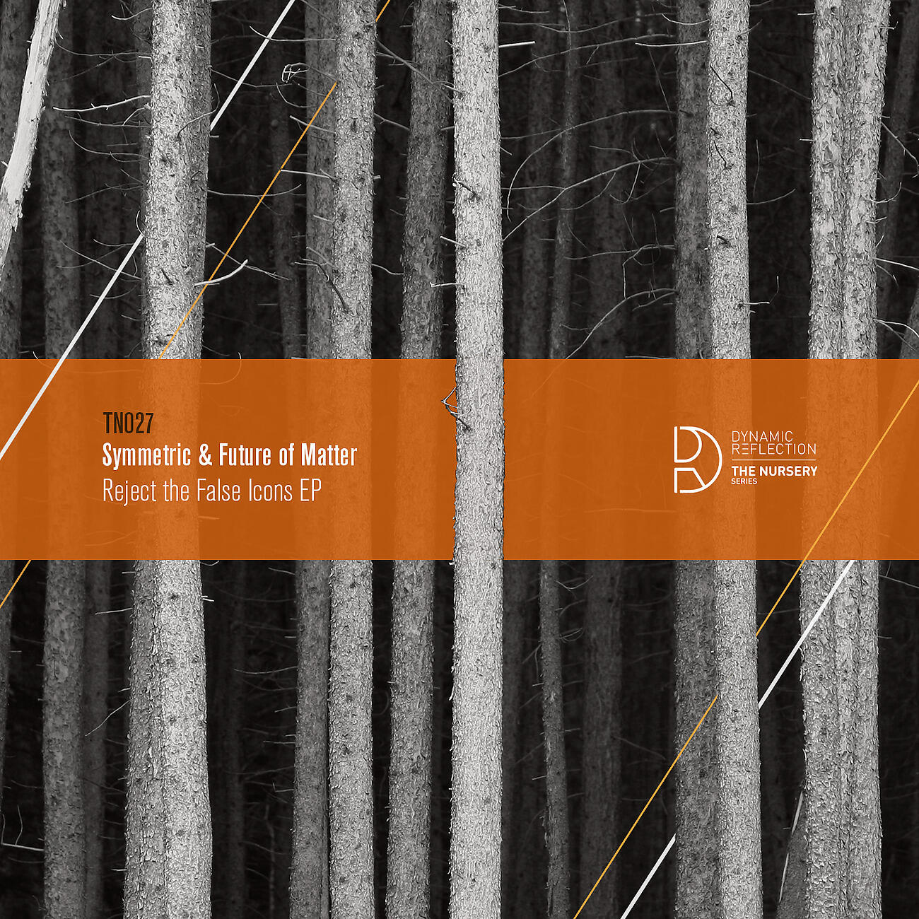 Релиз Reject the False Icons EP