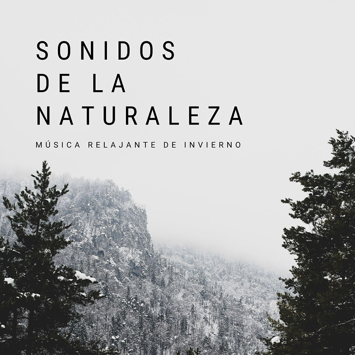 Musica Relajante & Sonidos de la Naturaleza para Dormir & Flor de Loto - Días De Nieve
