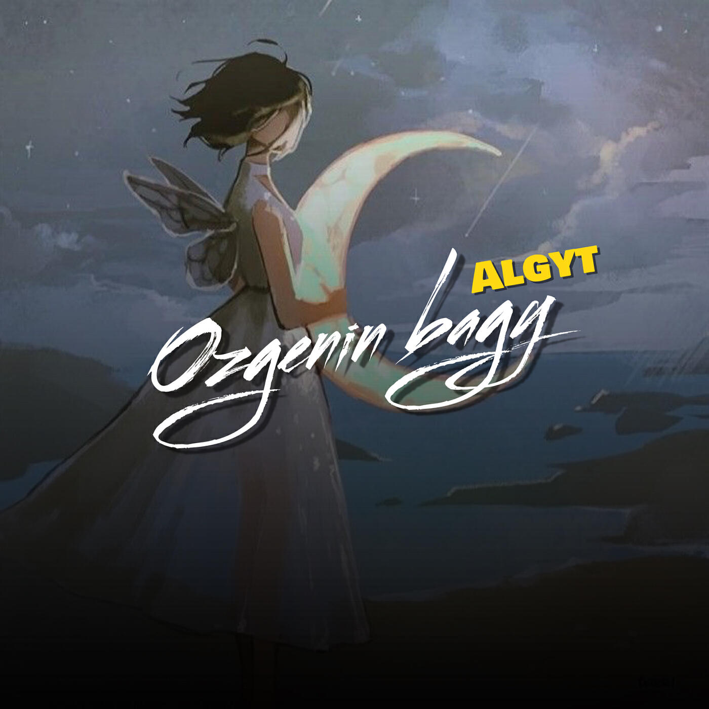 Постер альбома Ozgenin Bagy