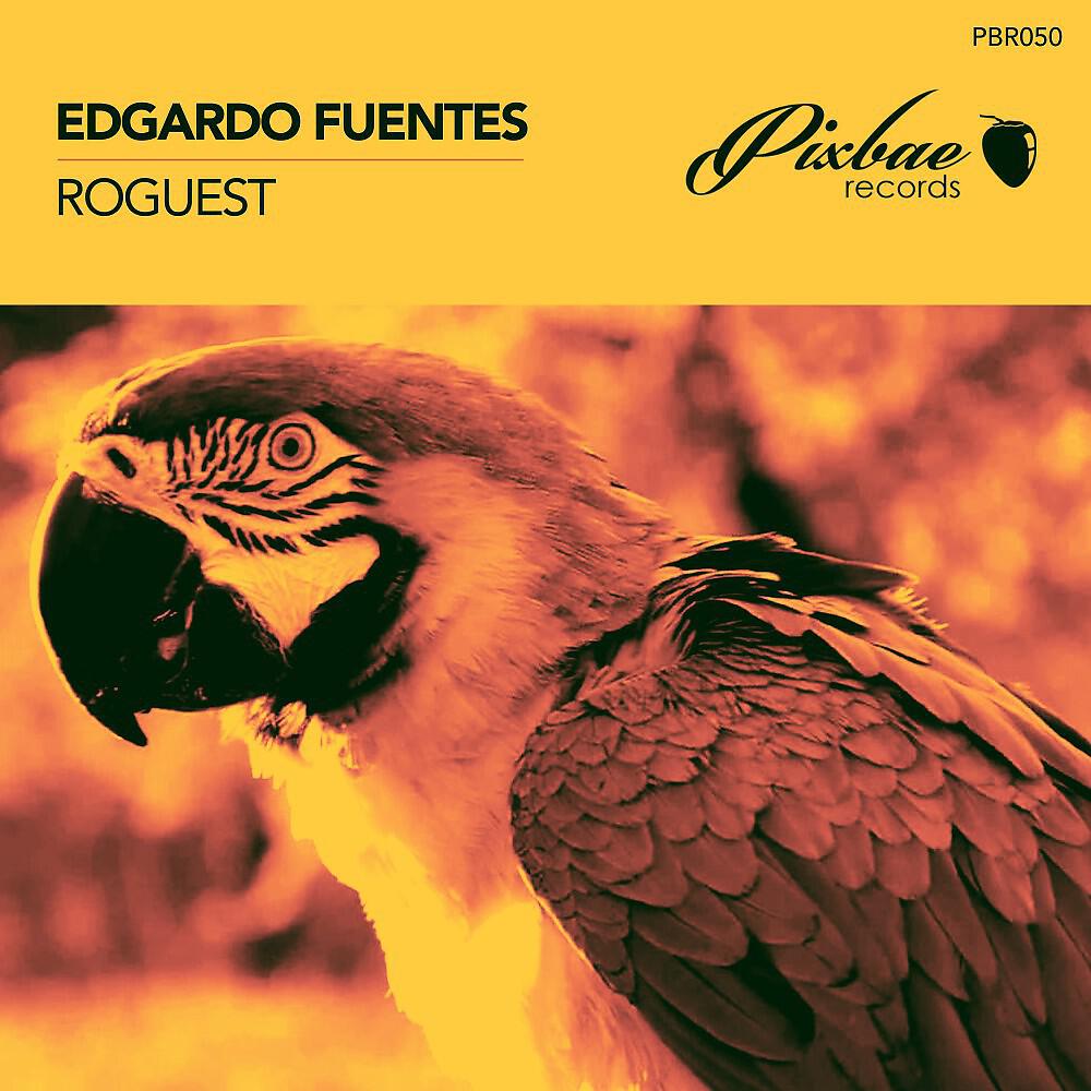 Релиз Roguest