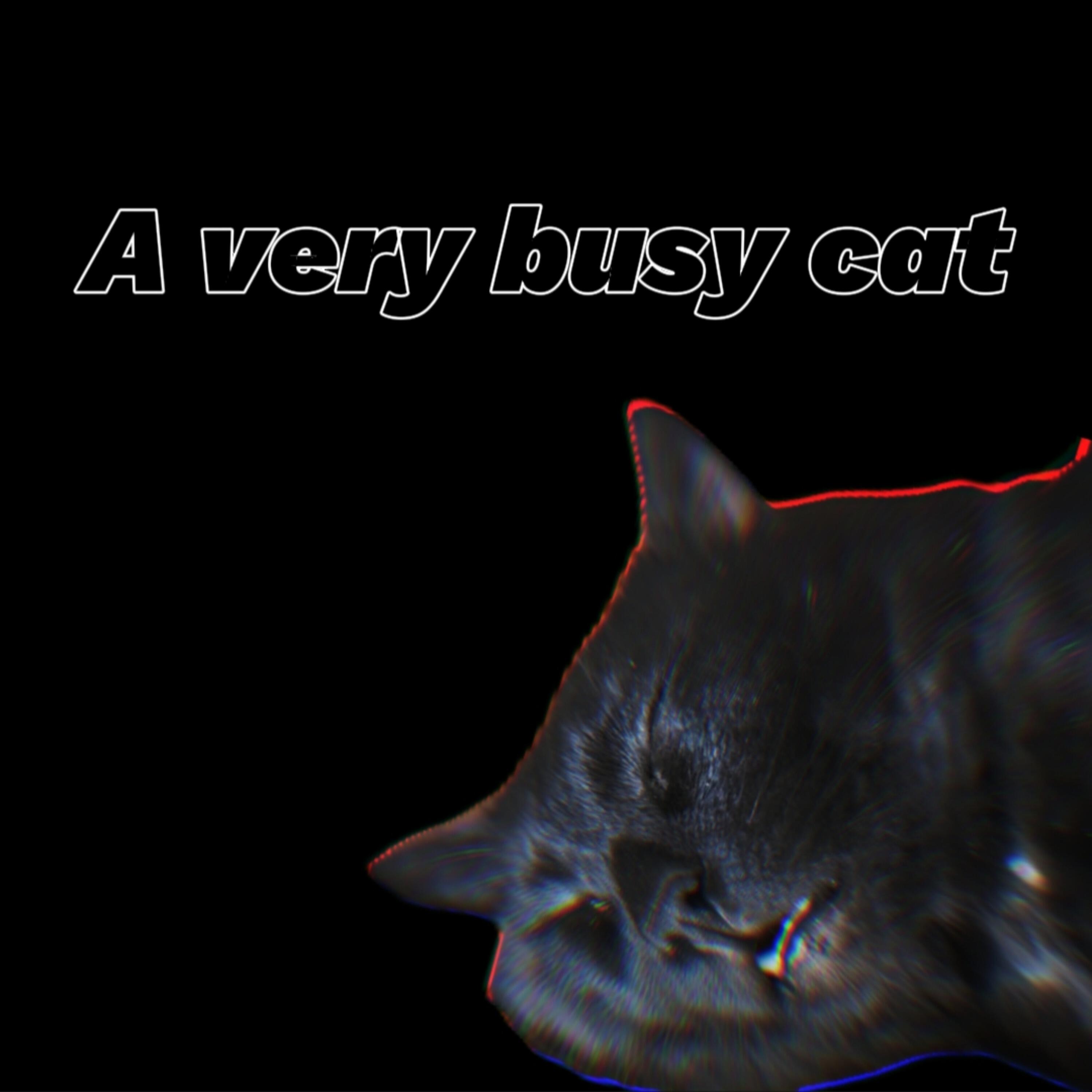 Релиз A Very Busy Cat