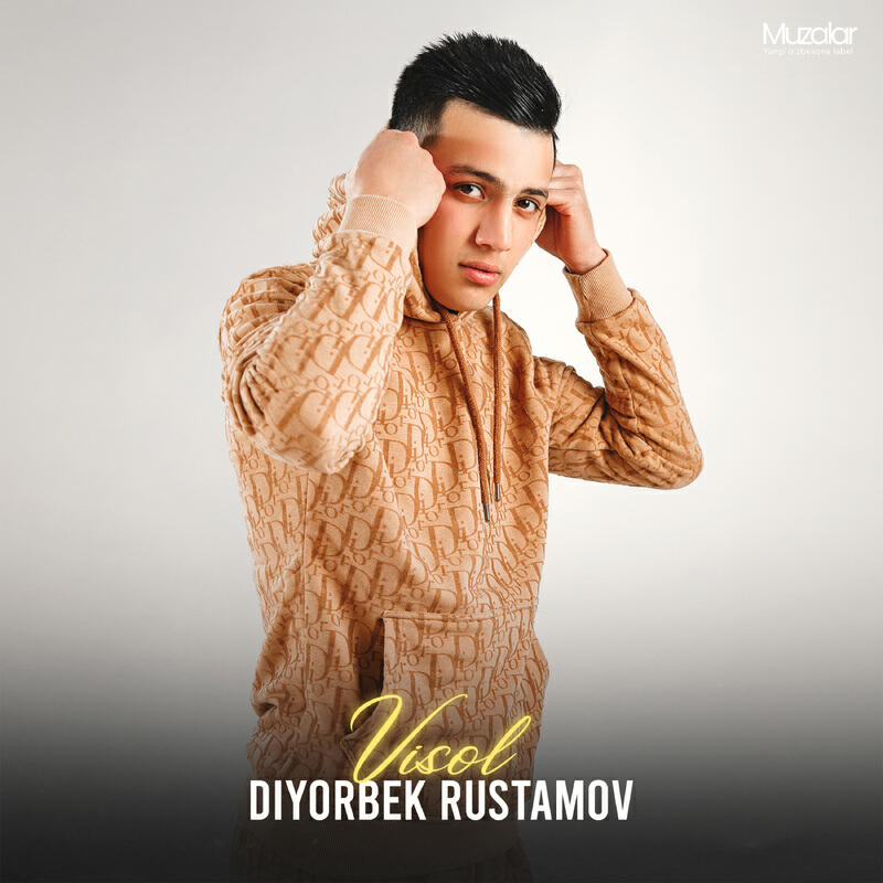 Релиз Visol