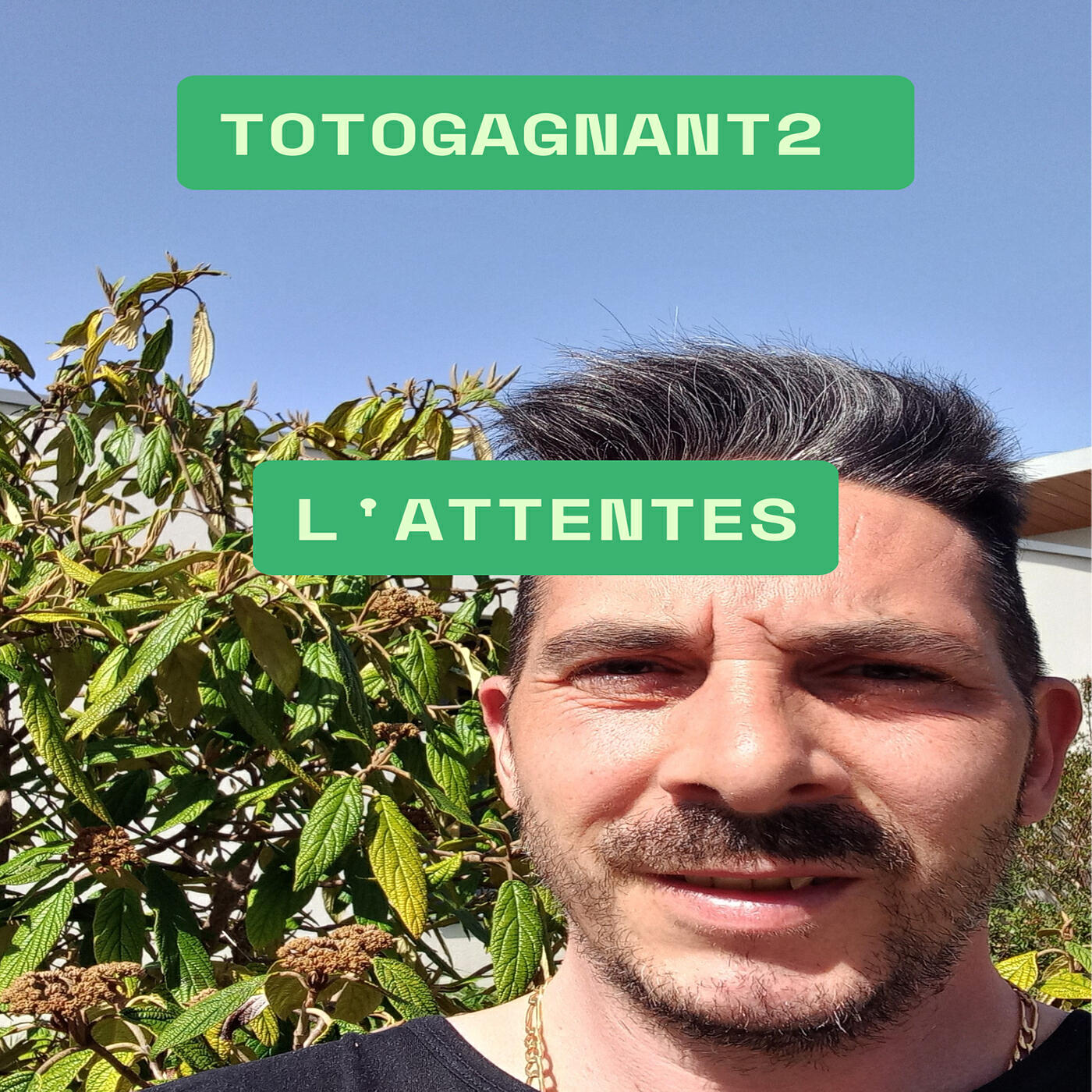 Релиз L'attente