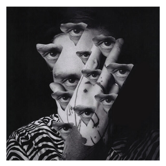 David Castellani