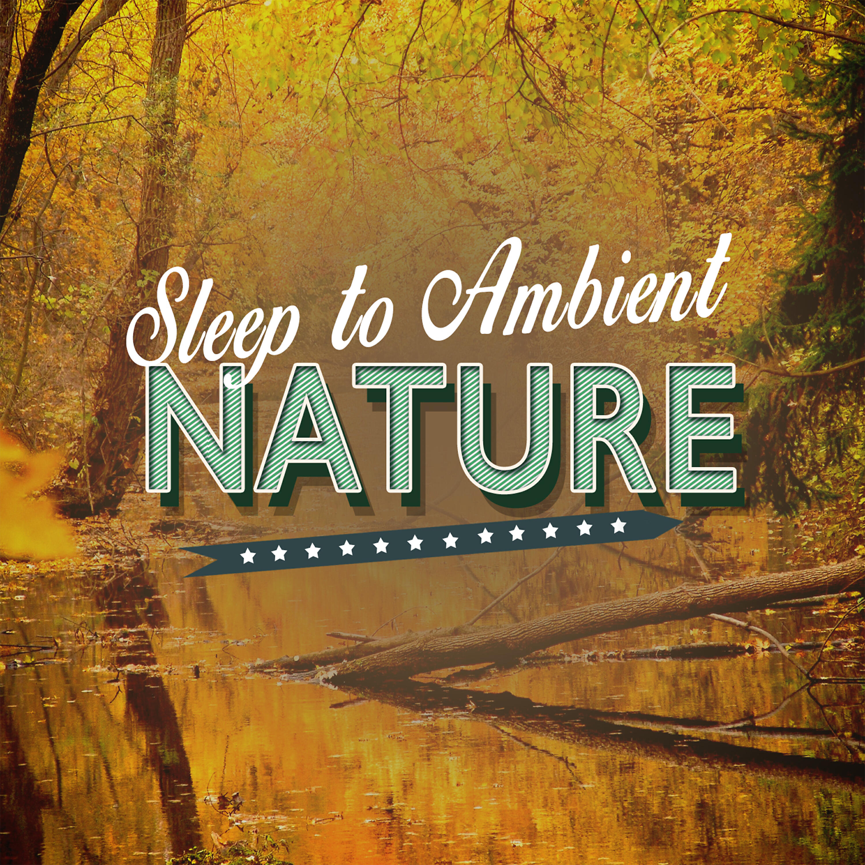 Постер альбома Sleep to Ambient Nature