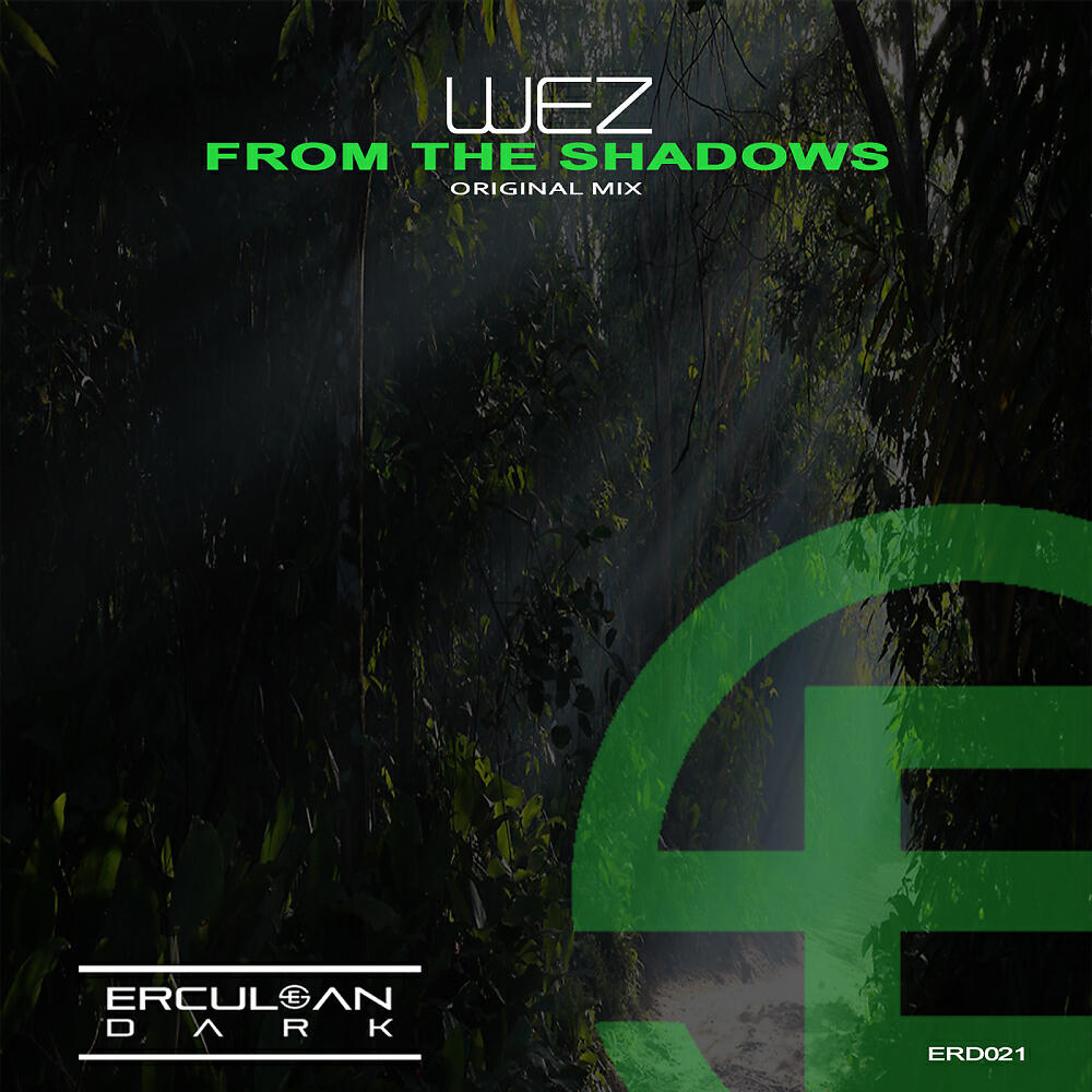 Релиз From The Shadows
