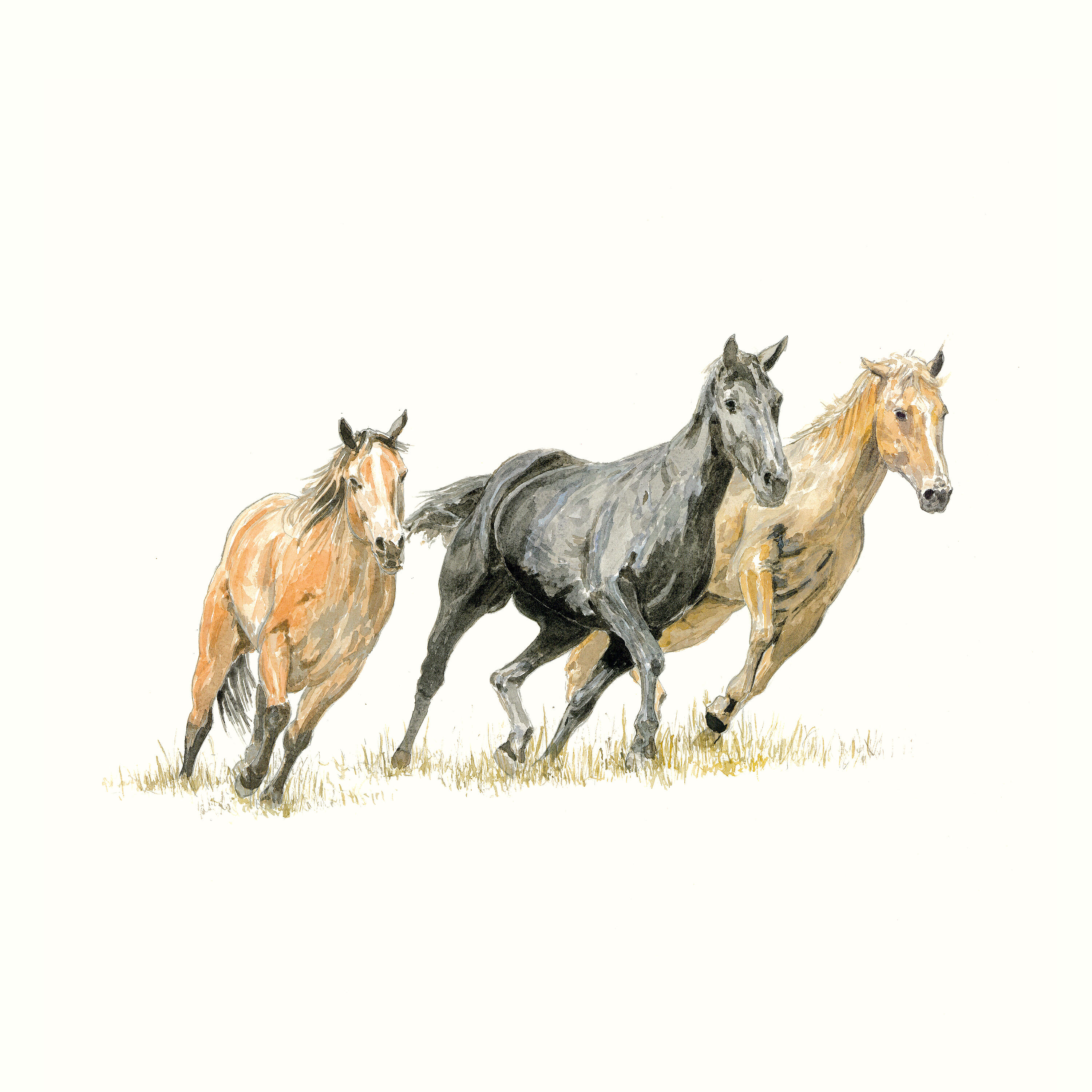 Релиз Hester