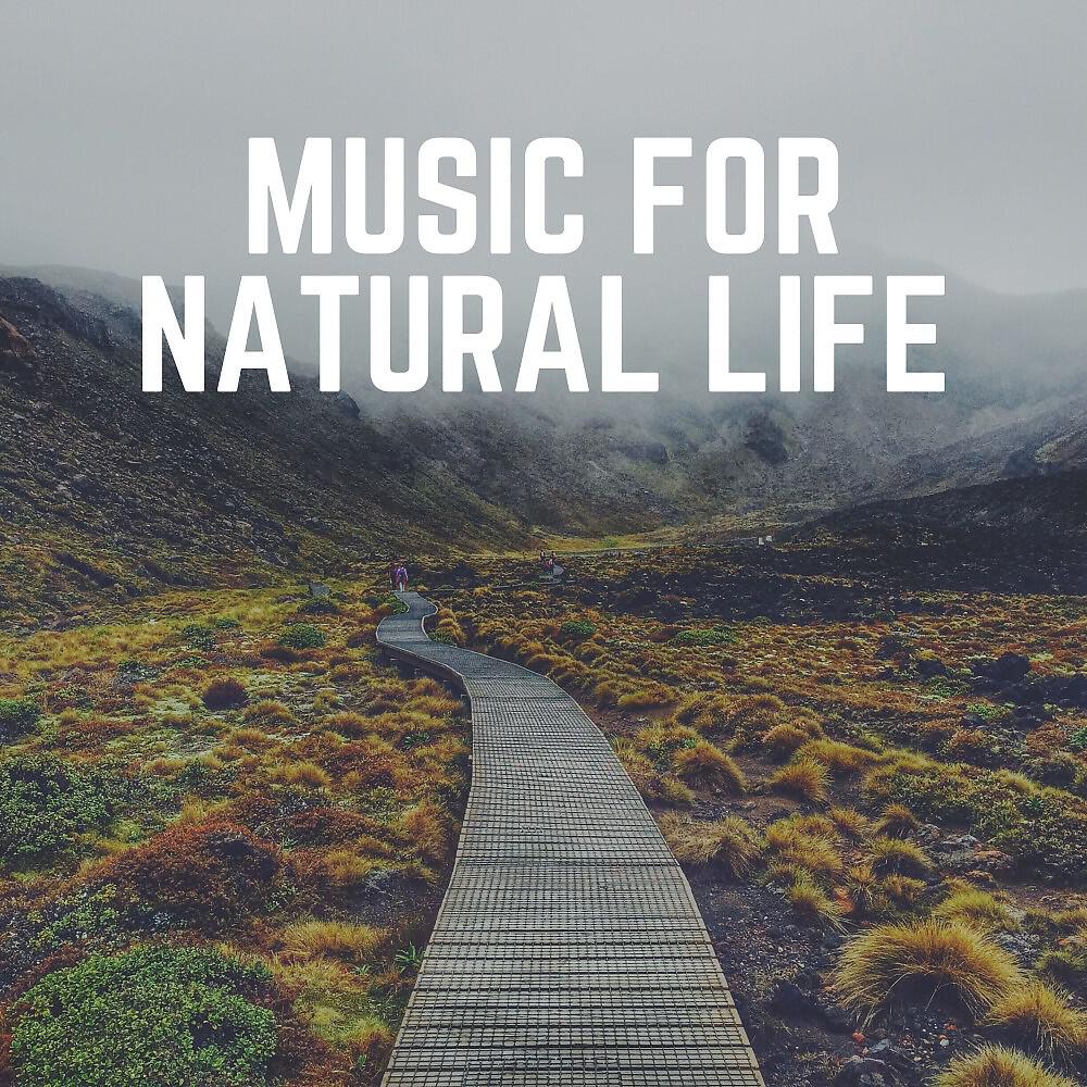 Релиз Music for Natural Life