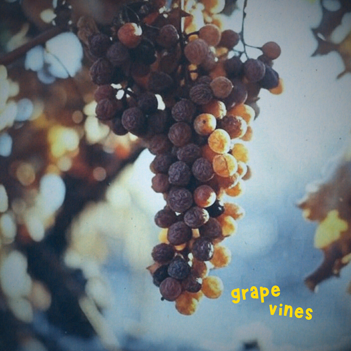 Релиз Grape Vines