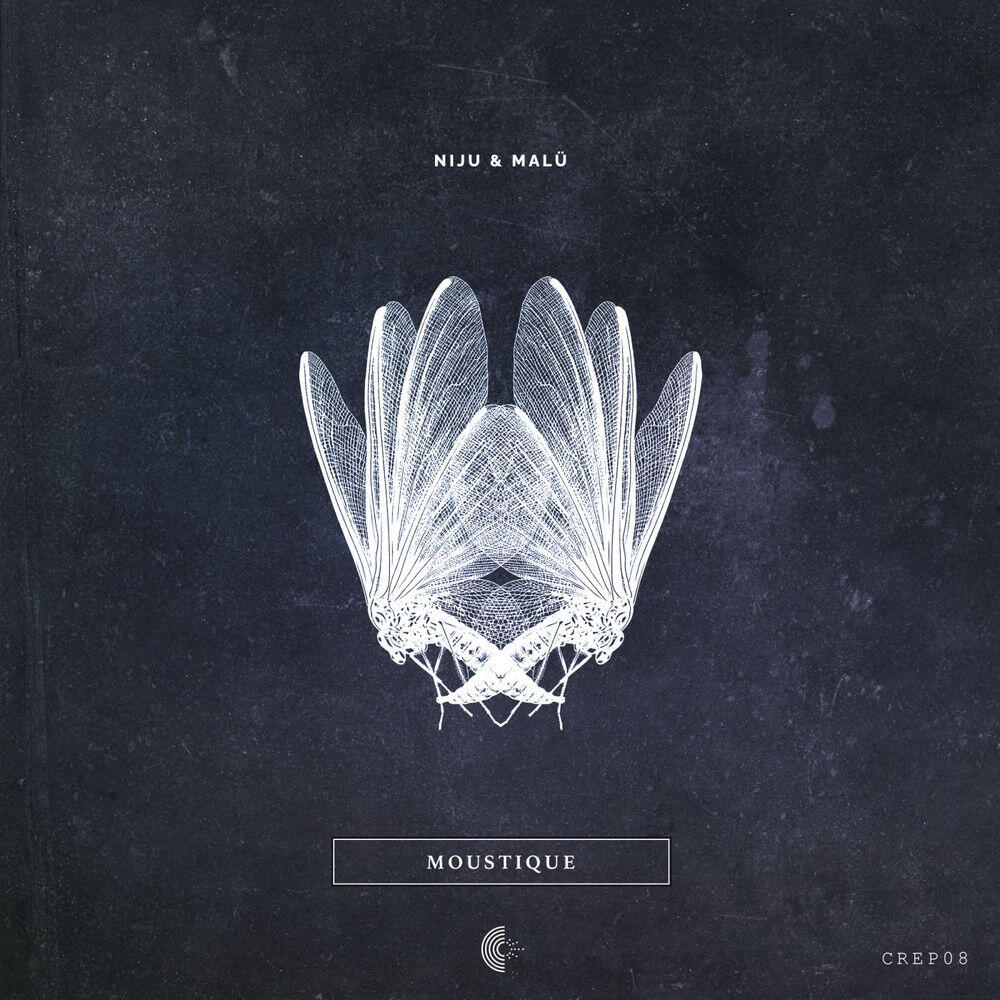 Релиз Doodle (Apaj Remix)