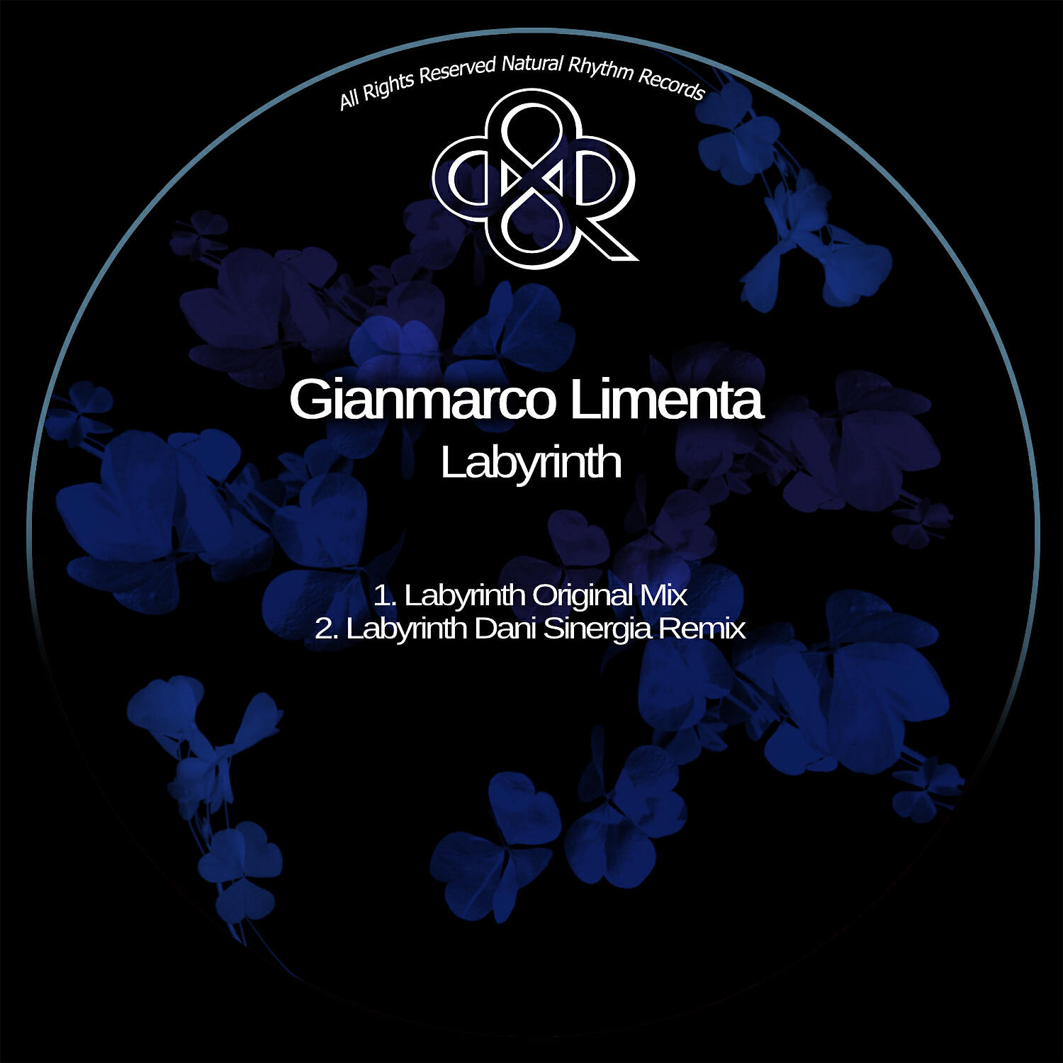 Релиз Labyrinth