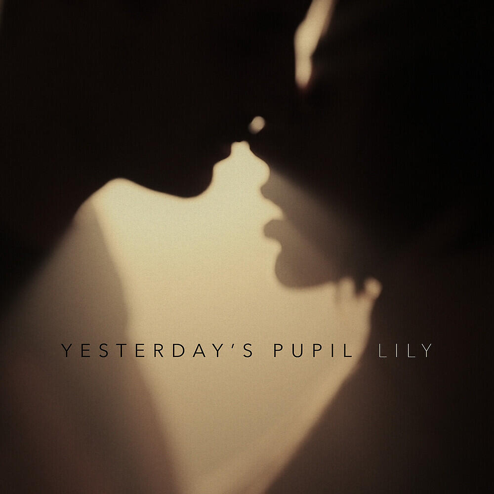 Релиз Lily