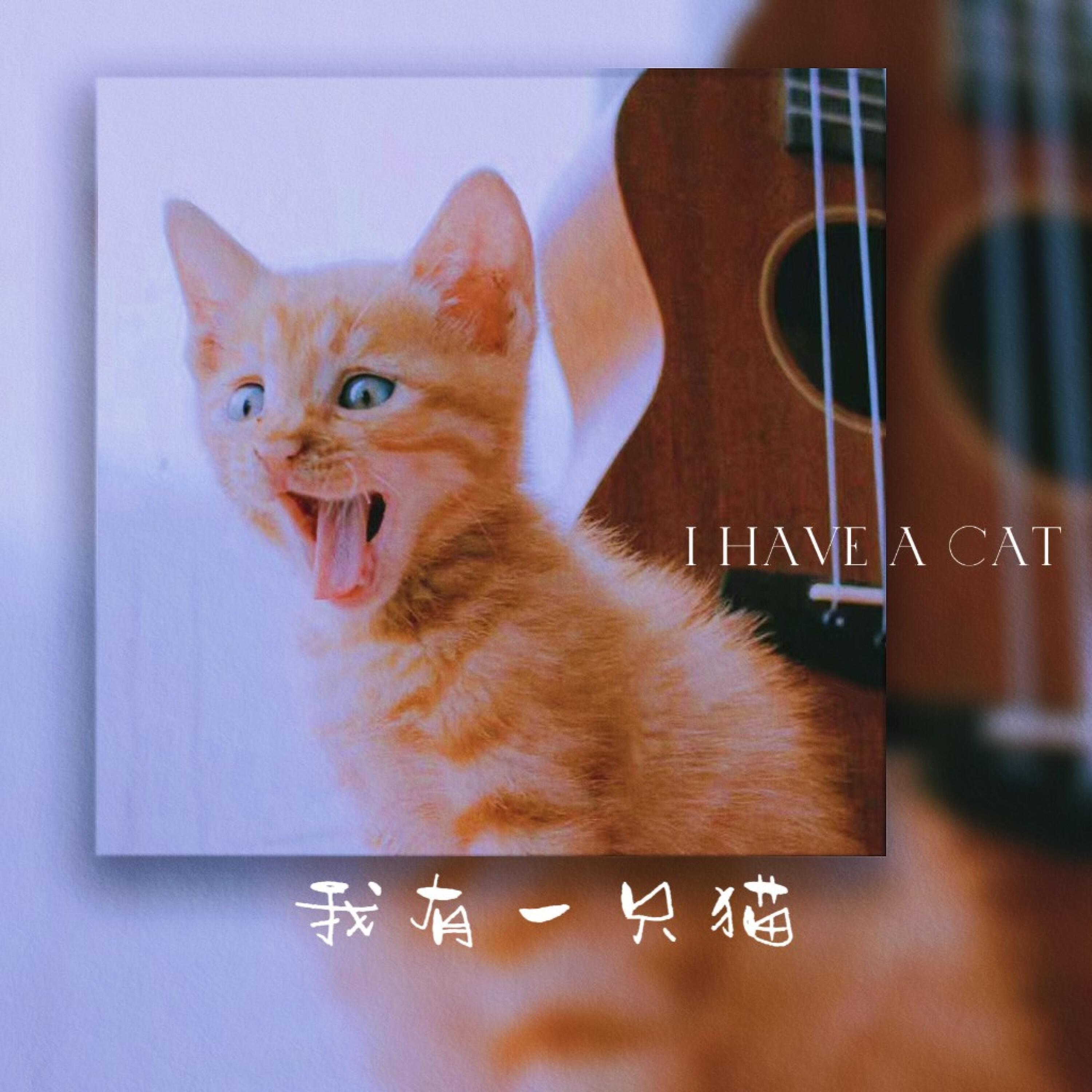 Трек 我有一只猫