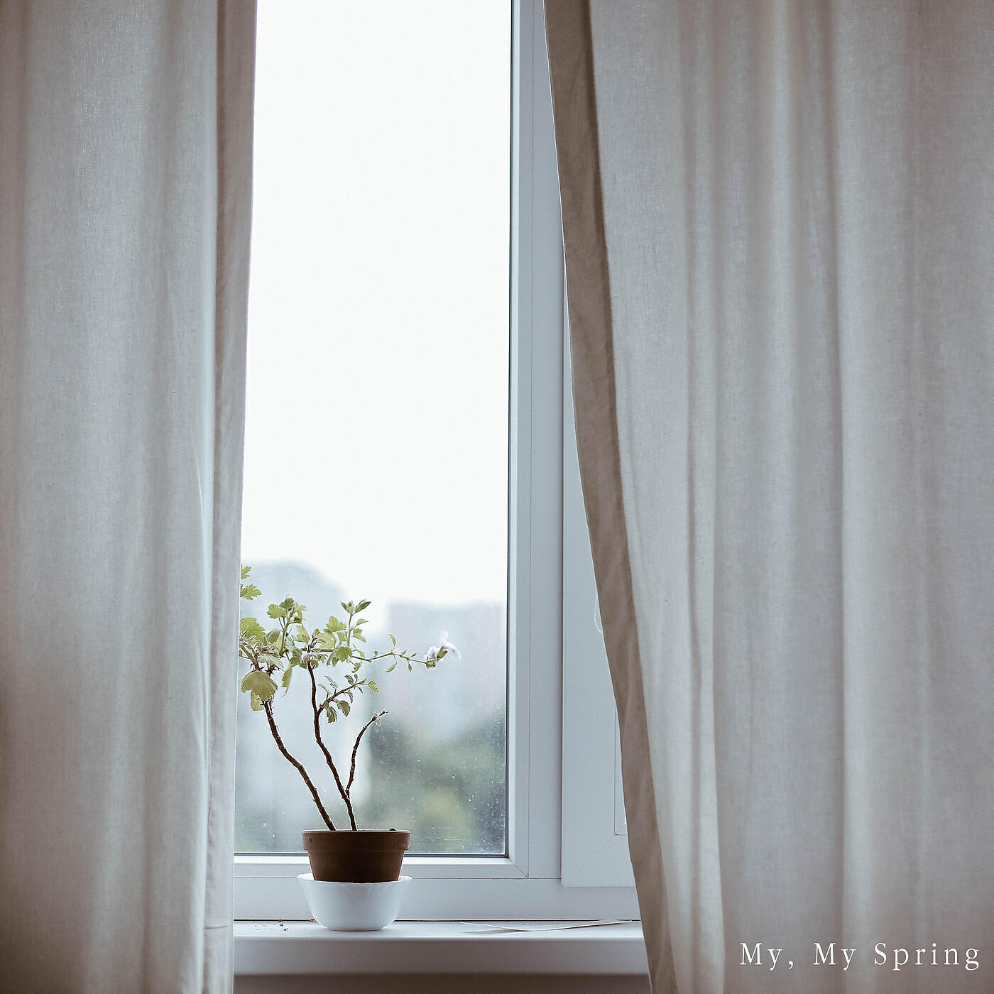 Релиз My, My Spring