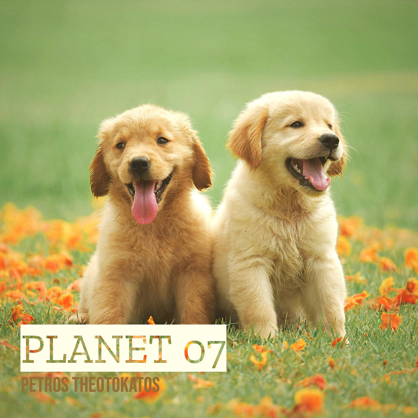 Релиз Planet 07