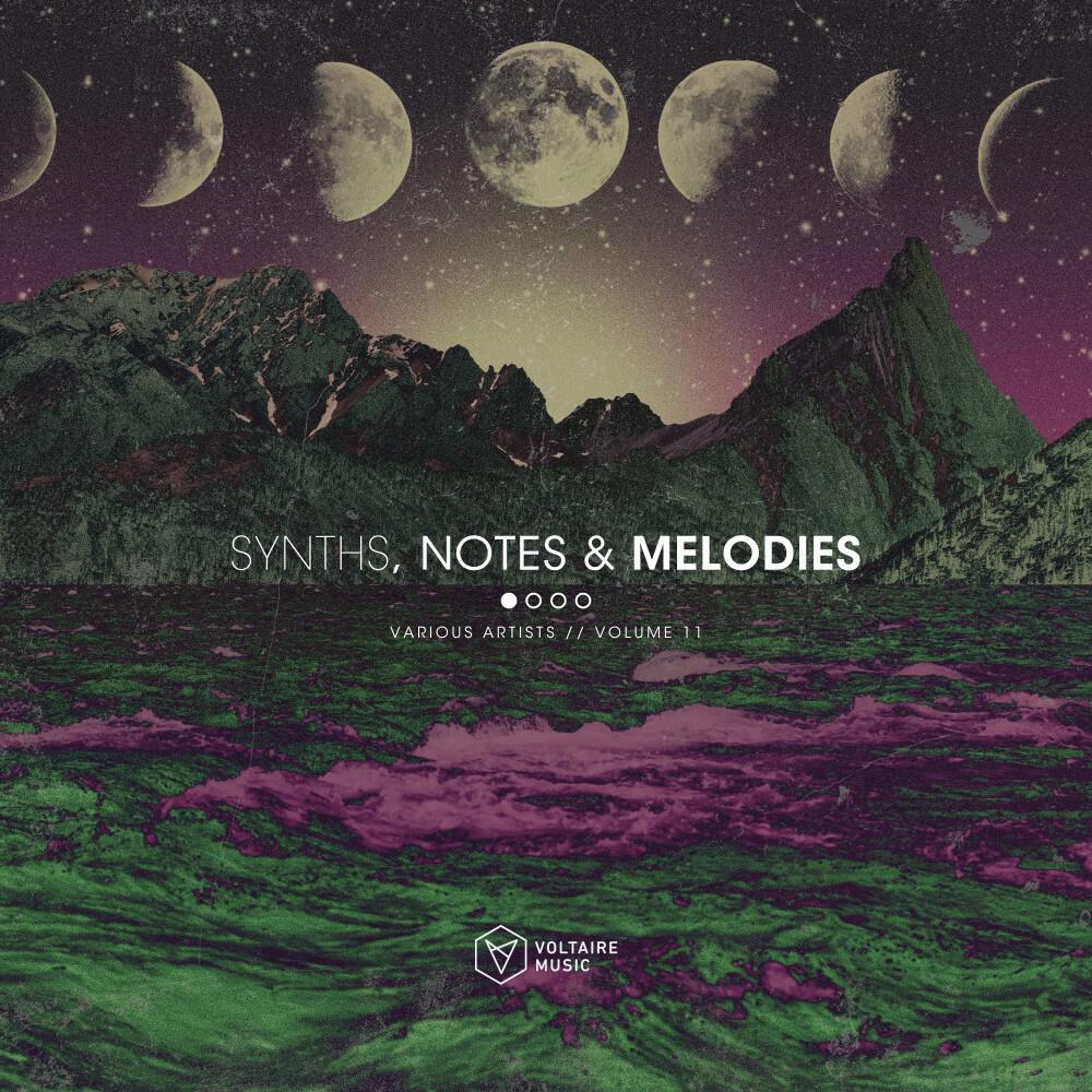 Релиз Synths, Notes & Melodies, Vol. 11