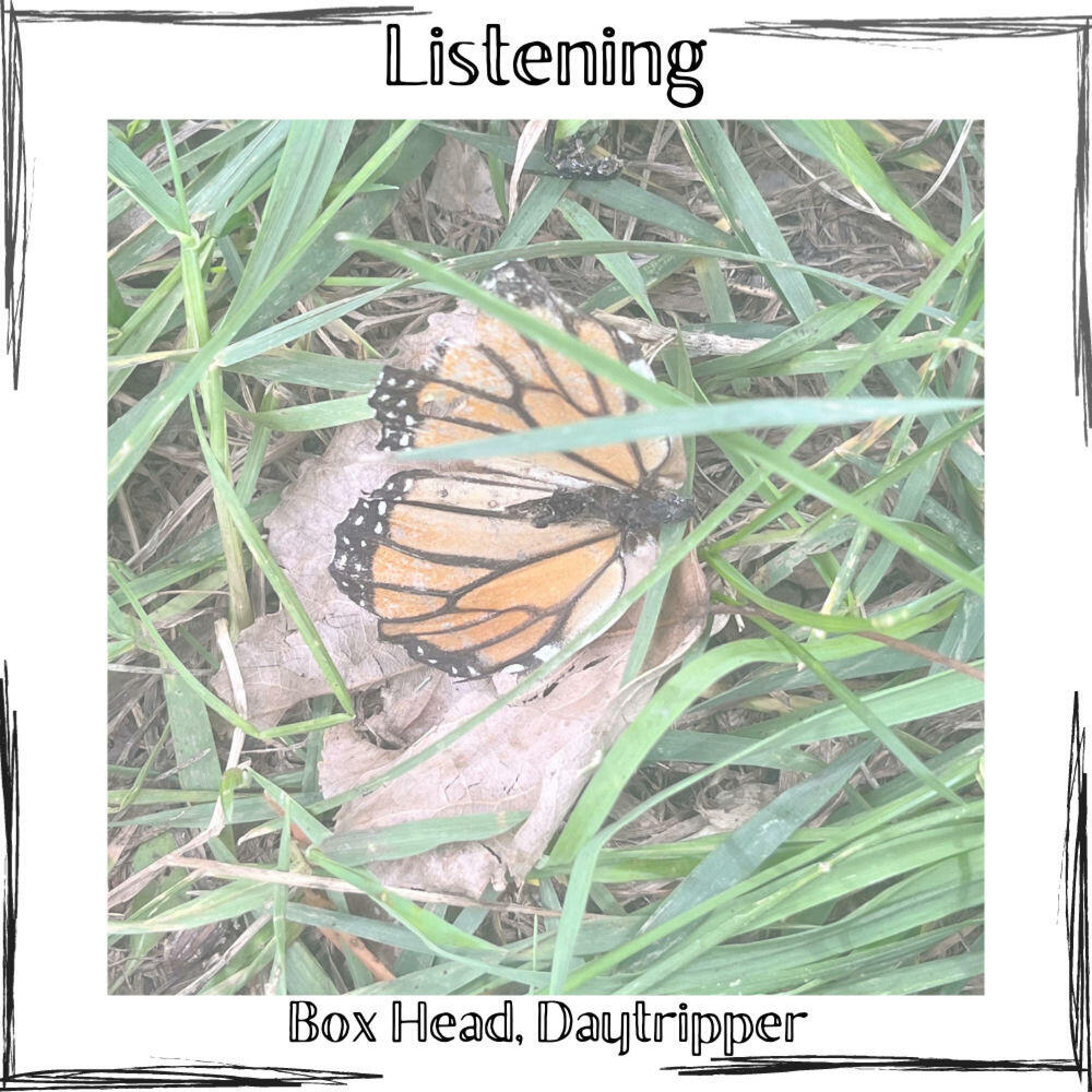 Релиз Listening
