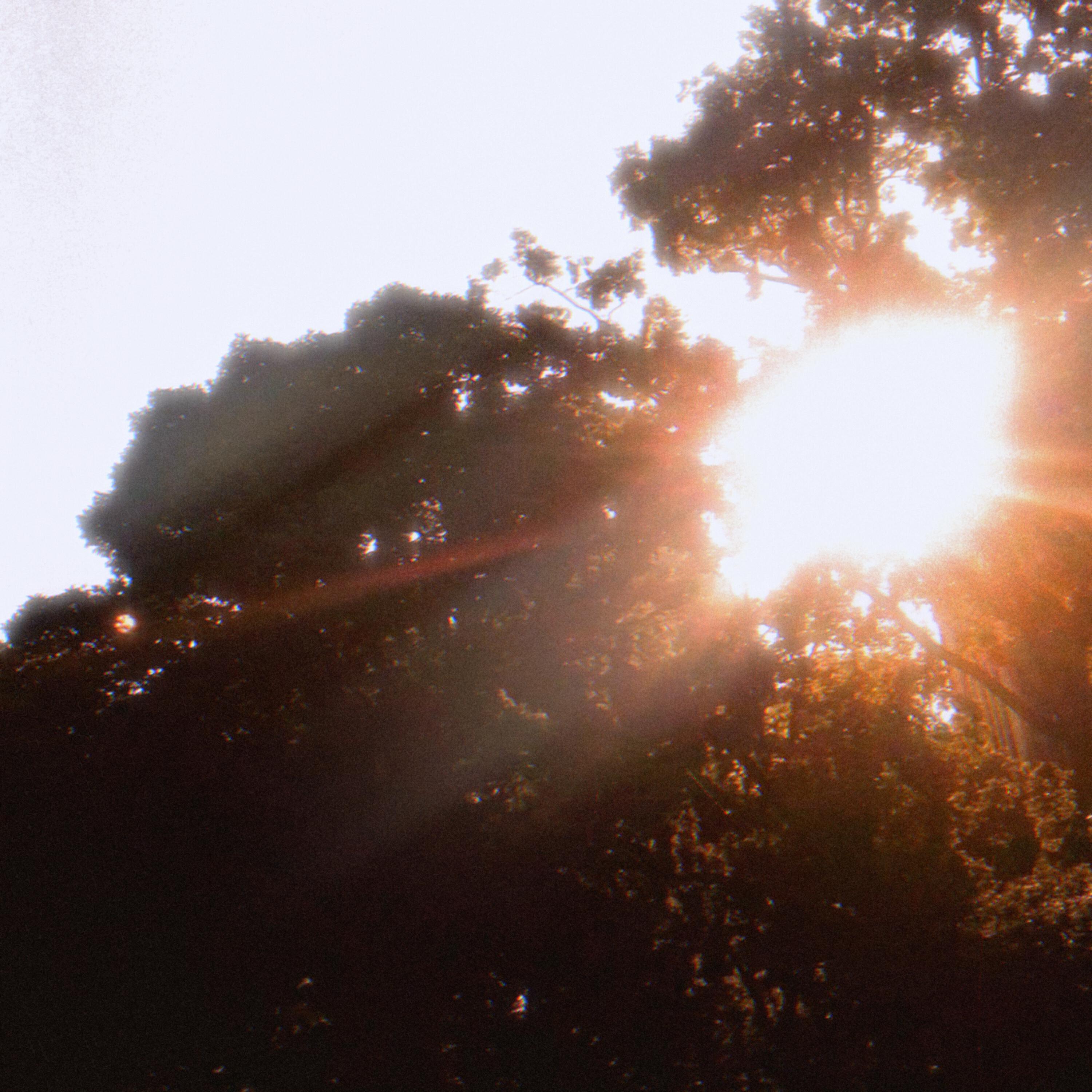 Релиз sunrays