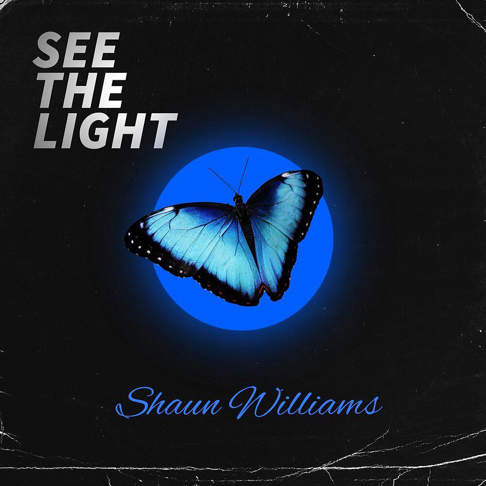 Релиз See The Light