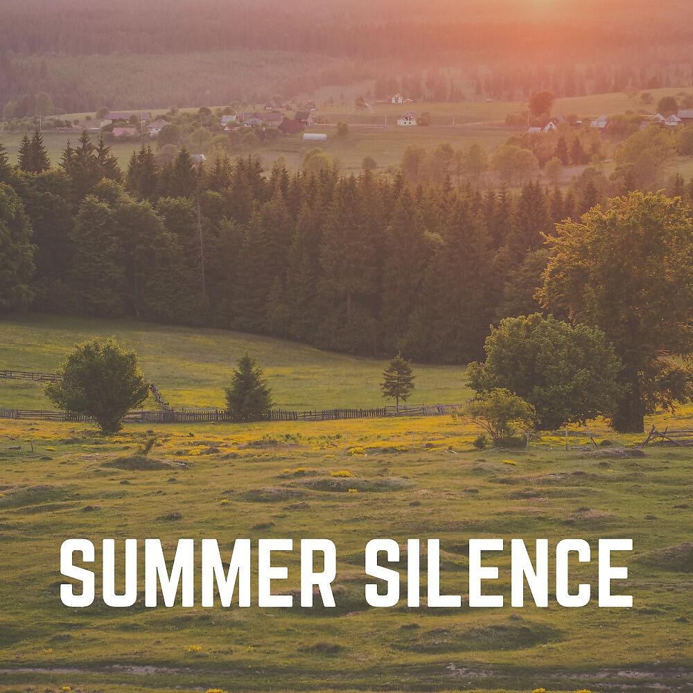 Релиз Summer Silence