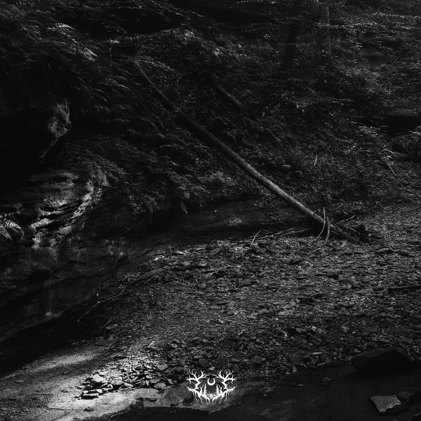 Релиз Into the Earth