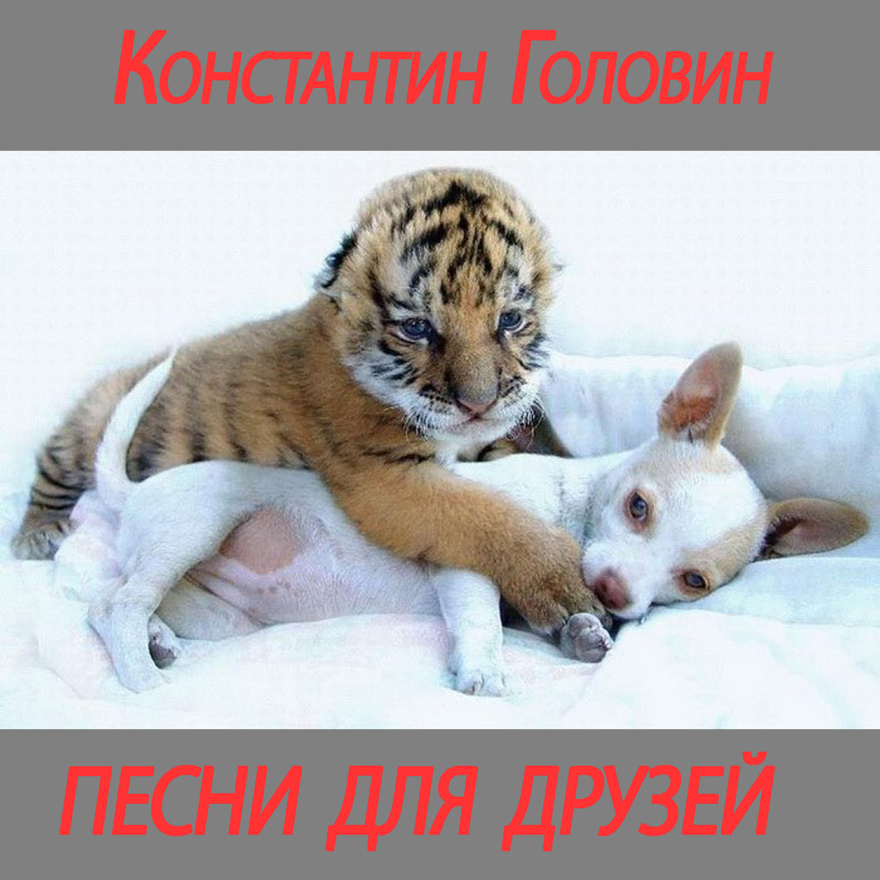 Релиз Songs for friends