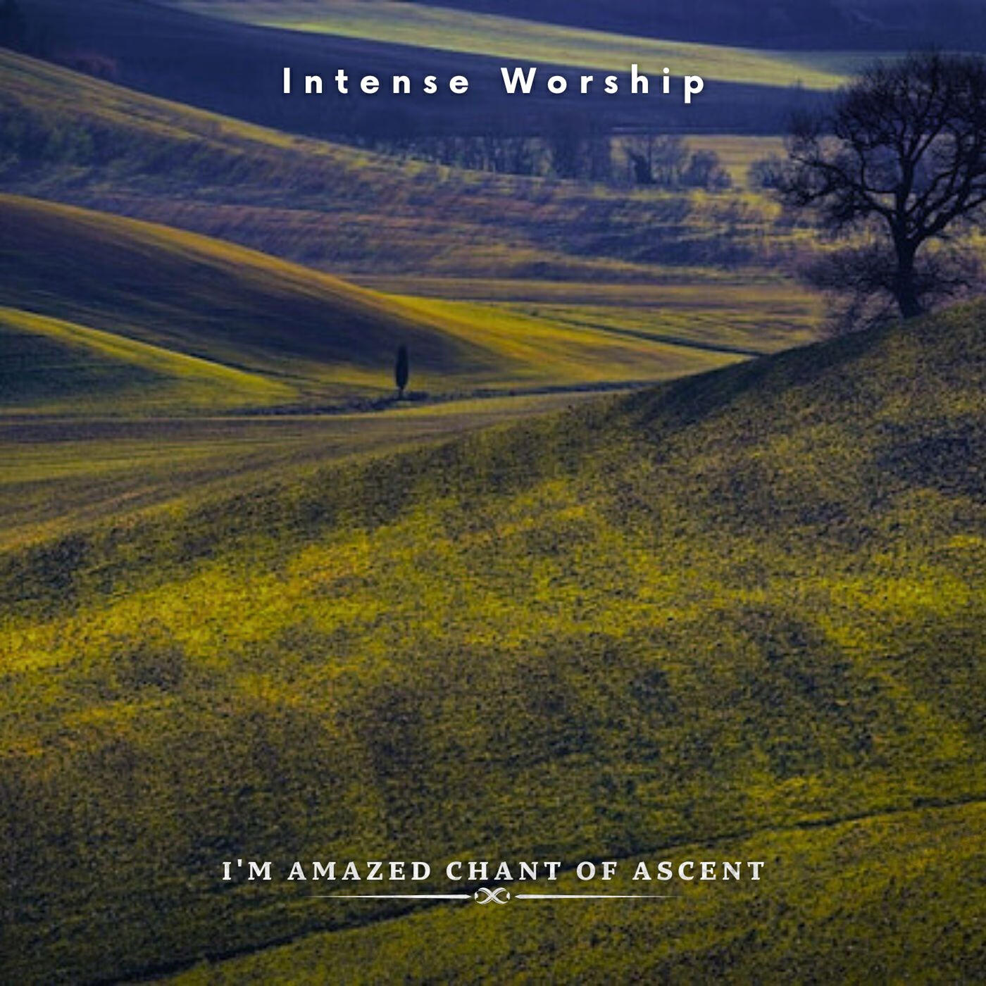 Постер альбома I'm Amazed Chant of Ascent