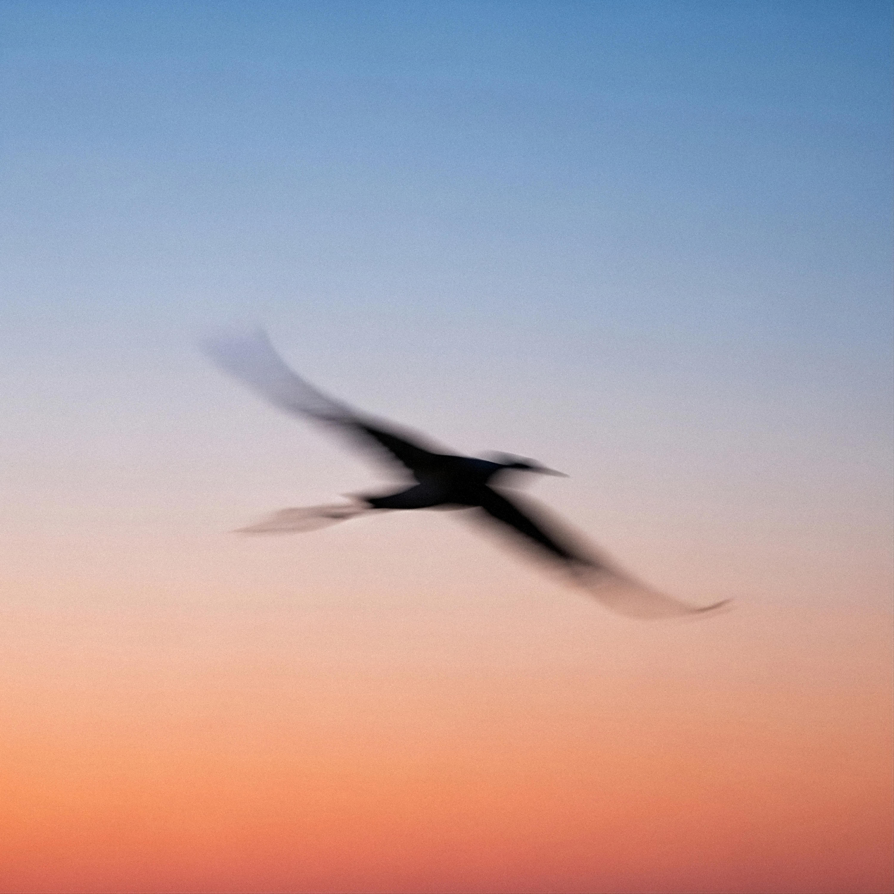 Friend from Work