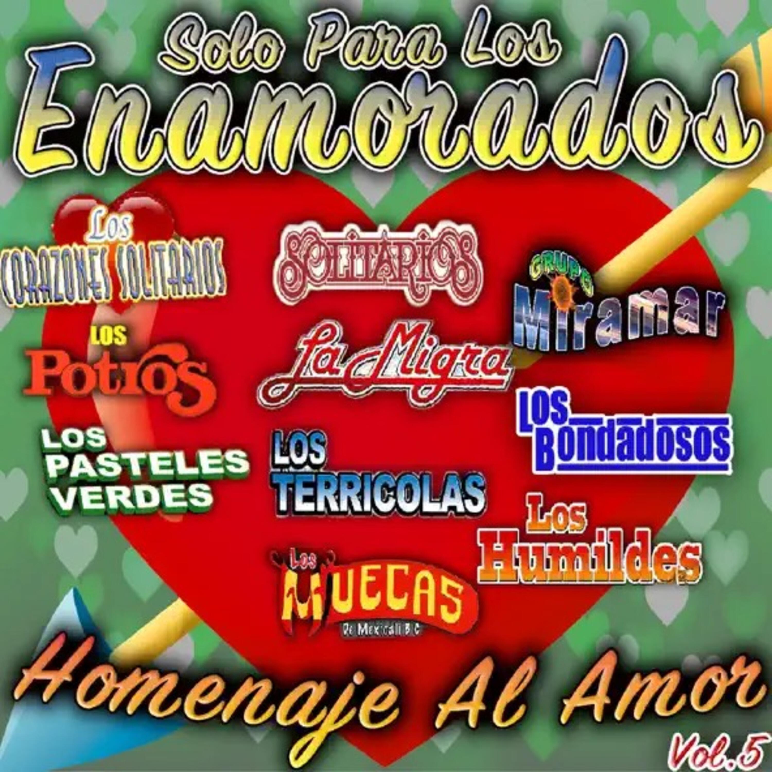 Релиз Solo para los Enamorados Homenaje al Amor, Vol.5