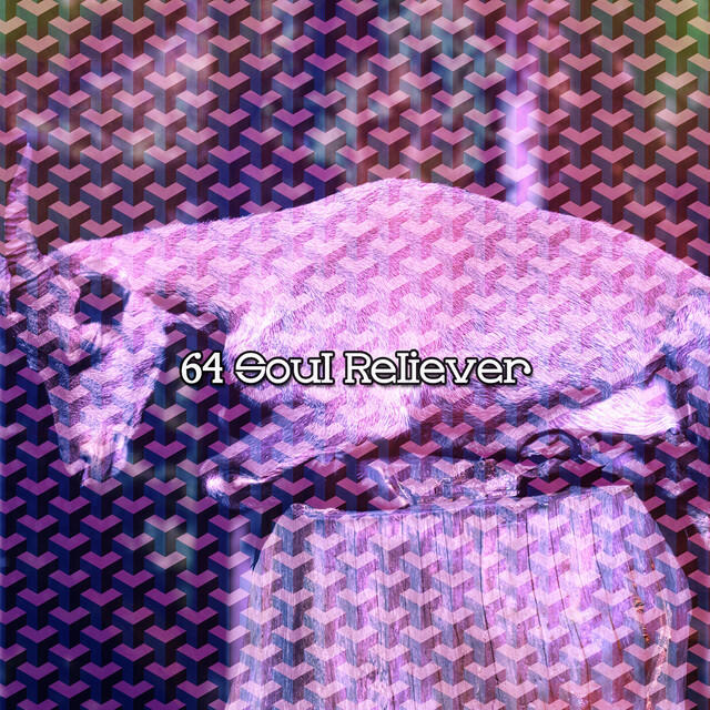Релиз 64 Soul Reliever