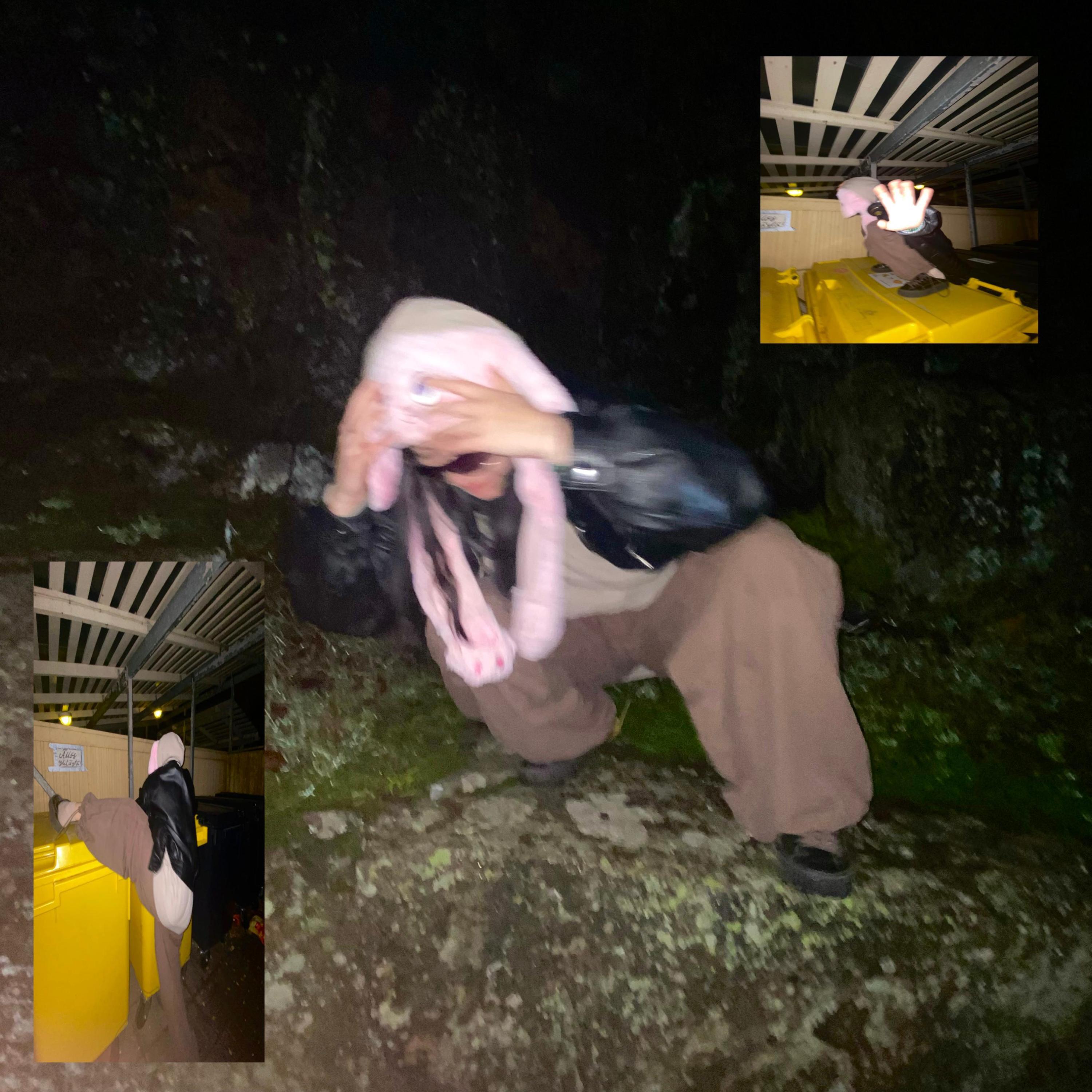 Релиз sirkustirehtööri