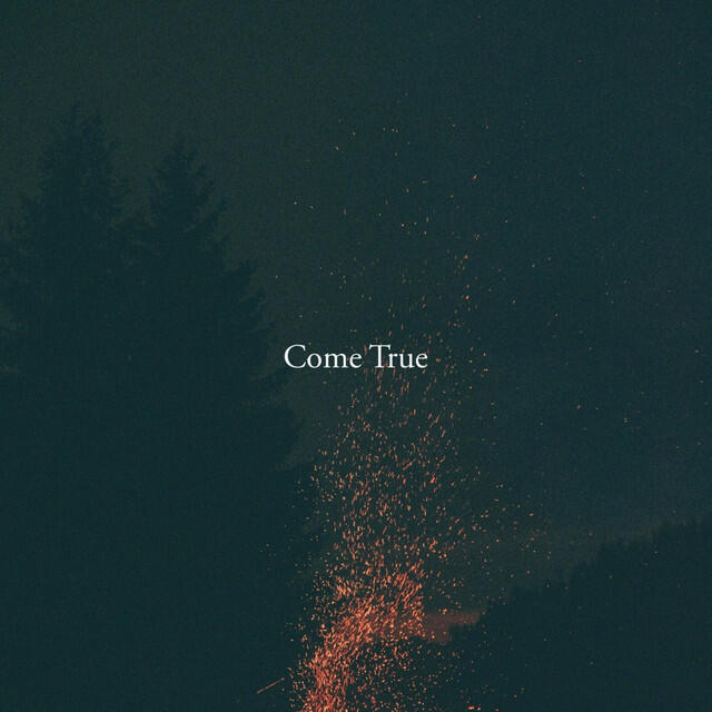 Постер альбома Come True
