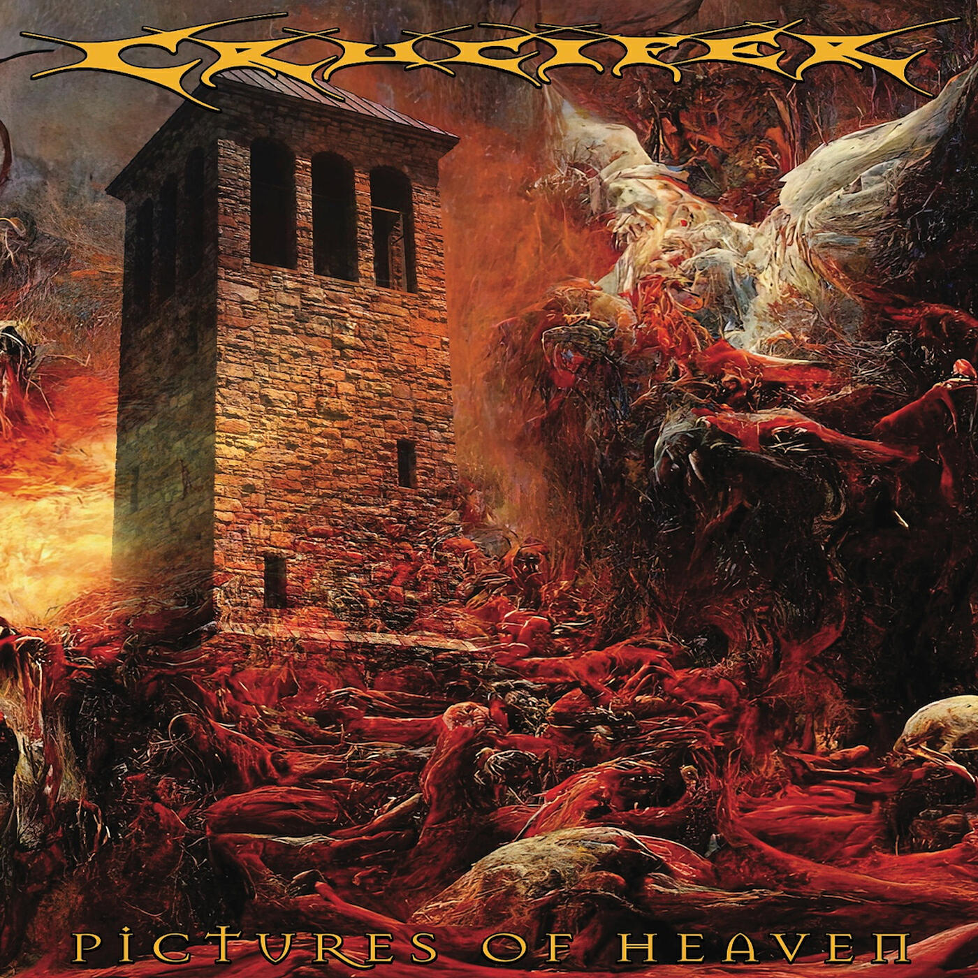 Crucifer