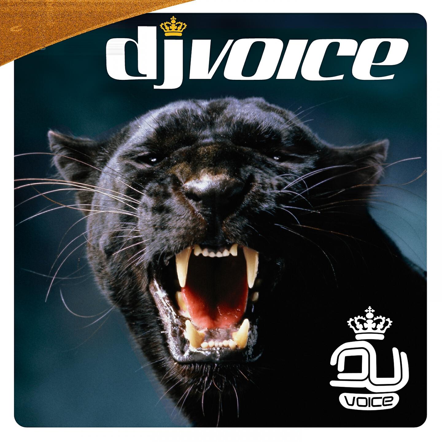 Релиз DJ Voice Vol 2 2006