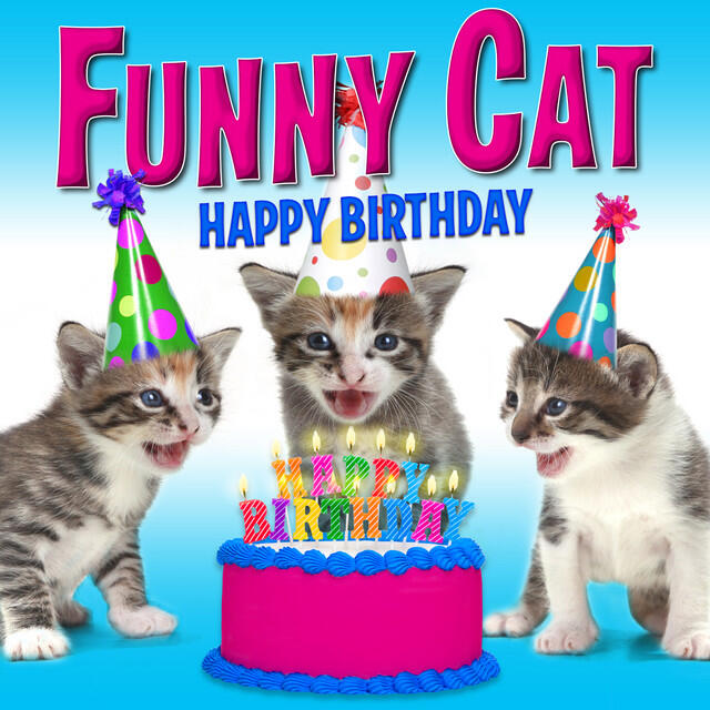 Релиз Happy Birthday (Funny Cats Singing Version)