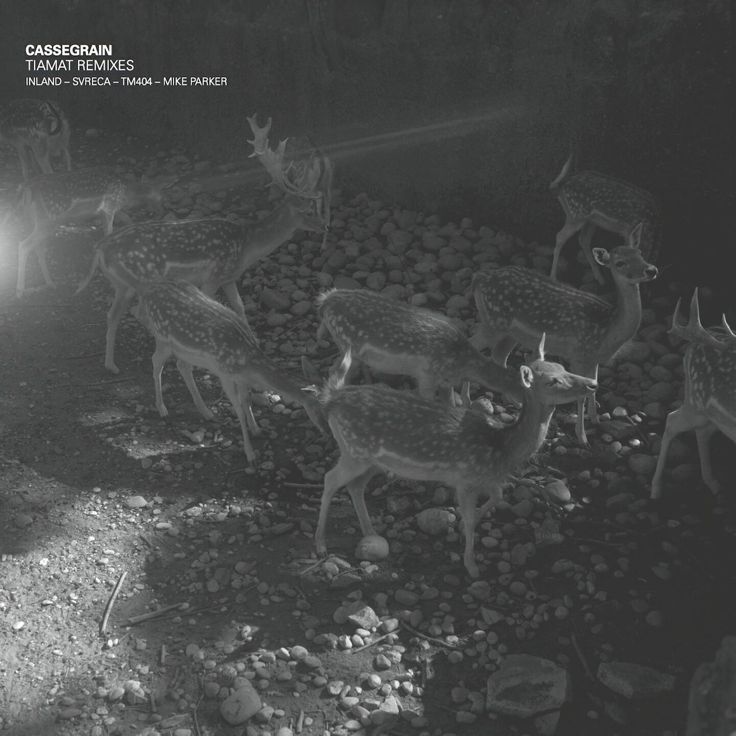 Релиз Tiamat Remixes