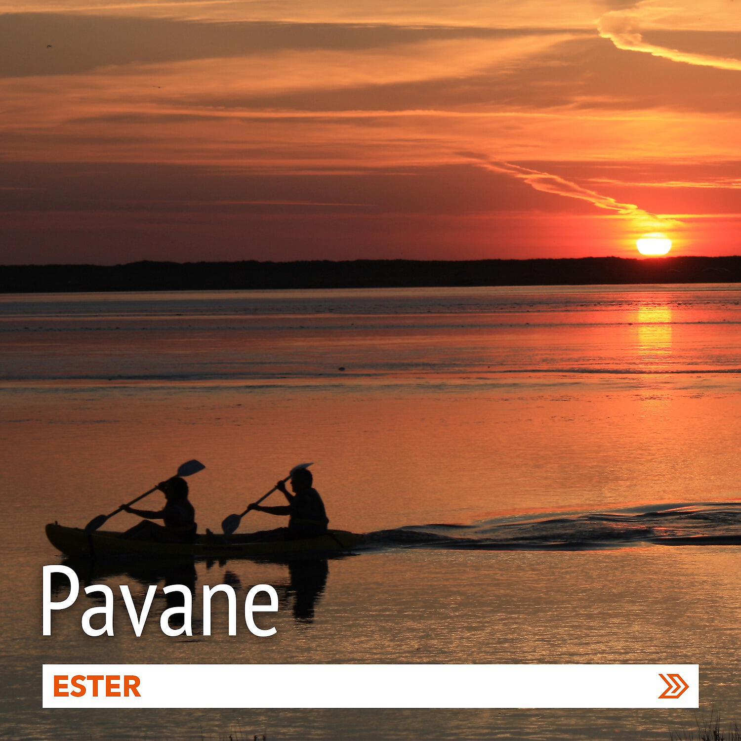 Постер альбома Pavane