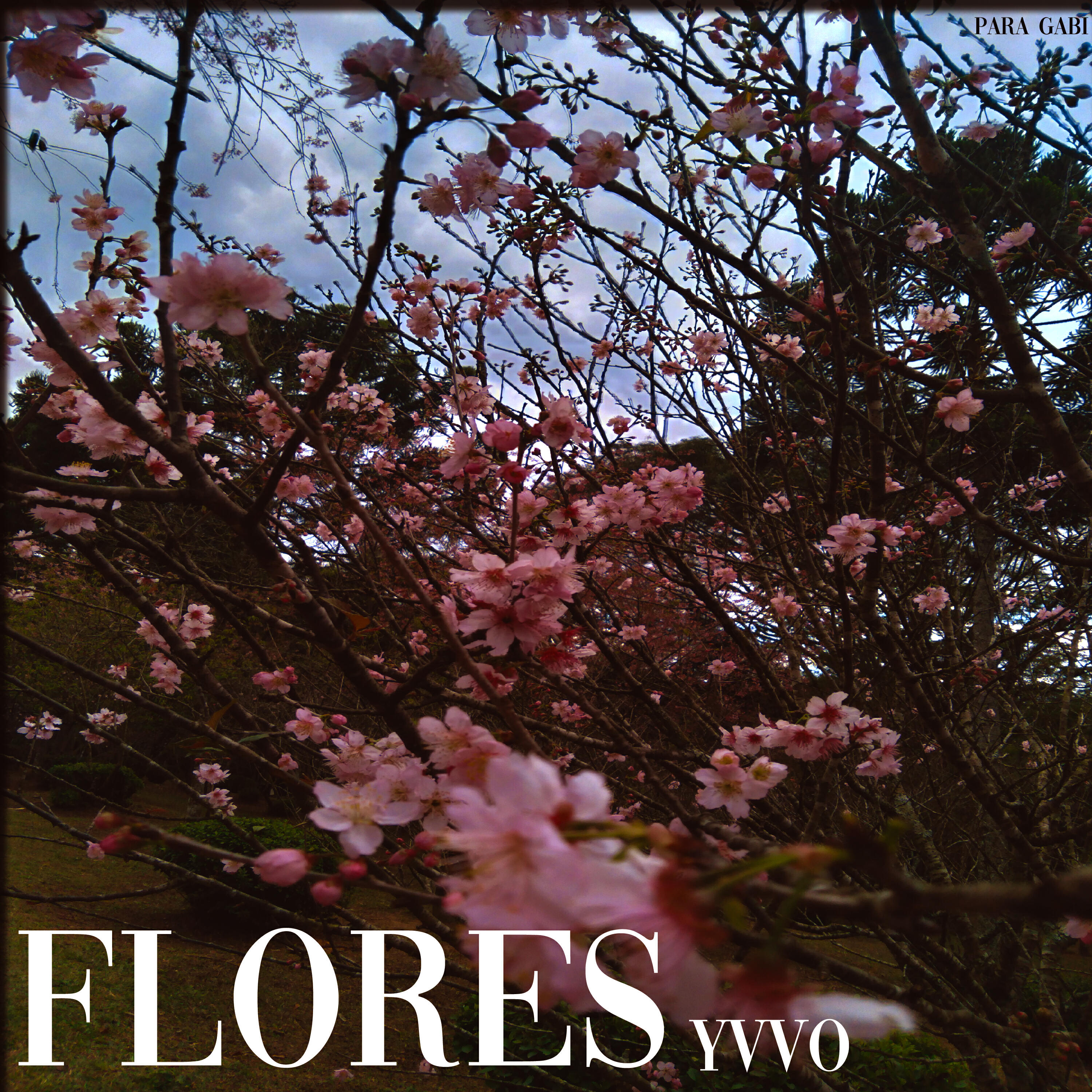 Релиз Flores (Para Gabi)