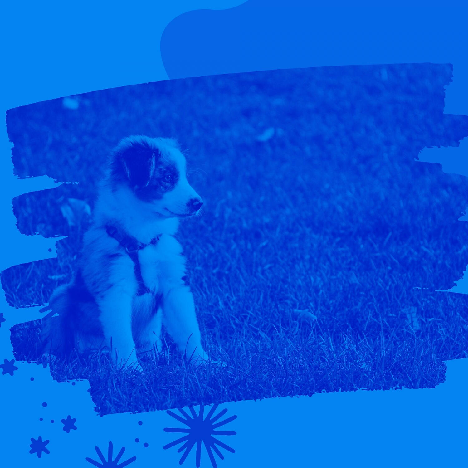 Релиз Sprightly Guitar Music - Background for Resting Pups